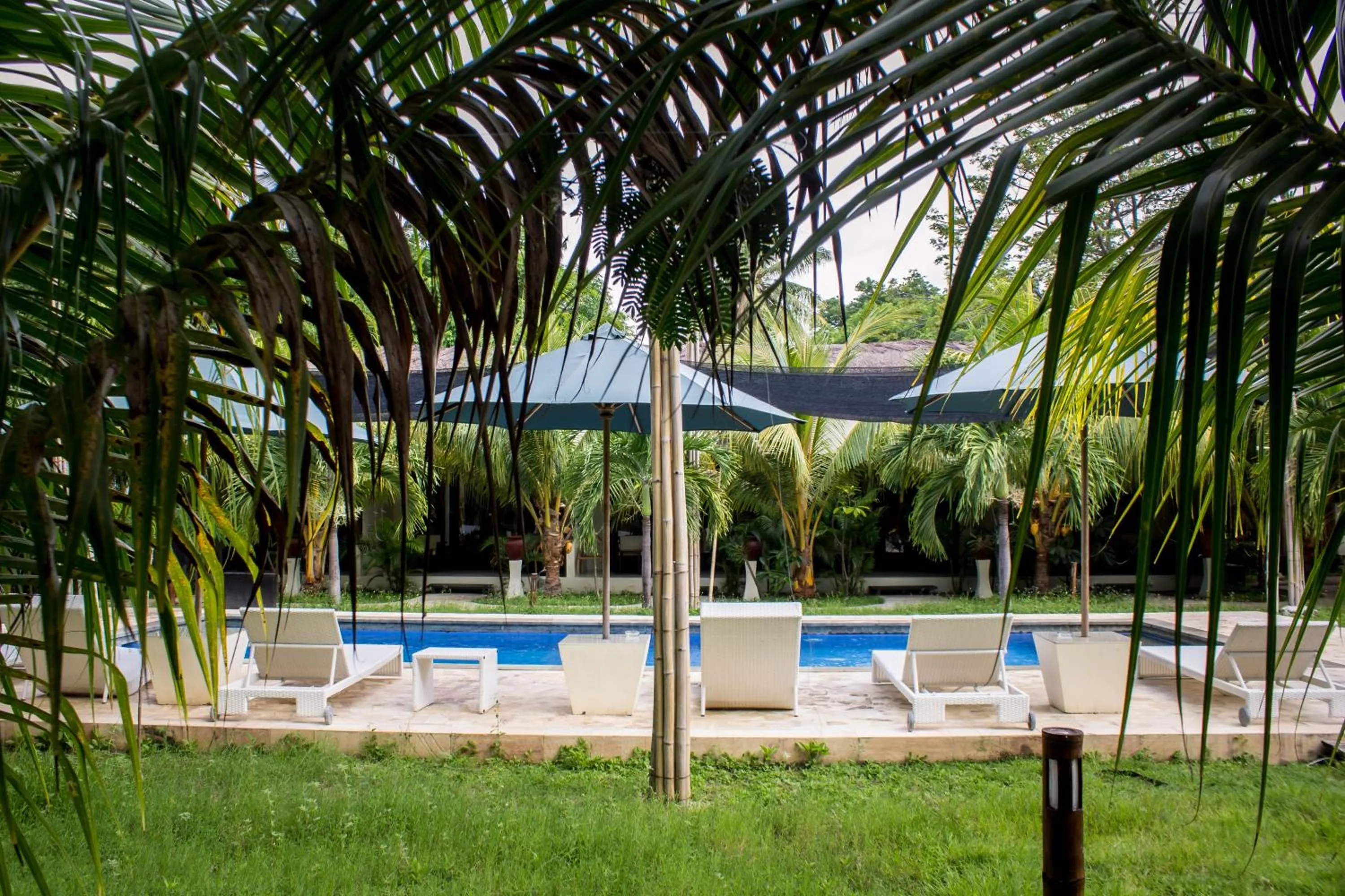 Garden in Kaluku Gili Resort