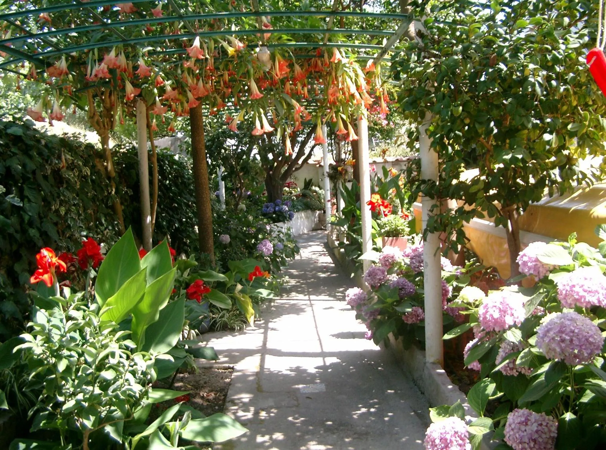 Garden in Hotel & Residence Matarese