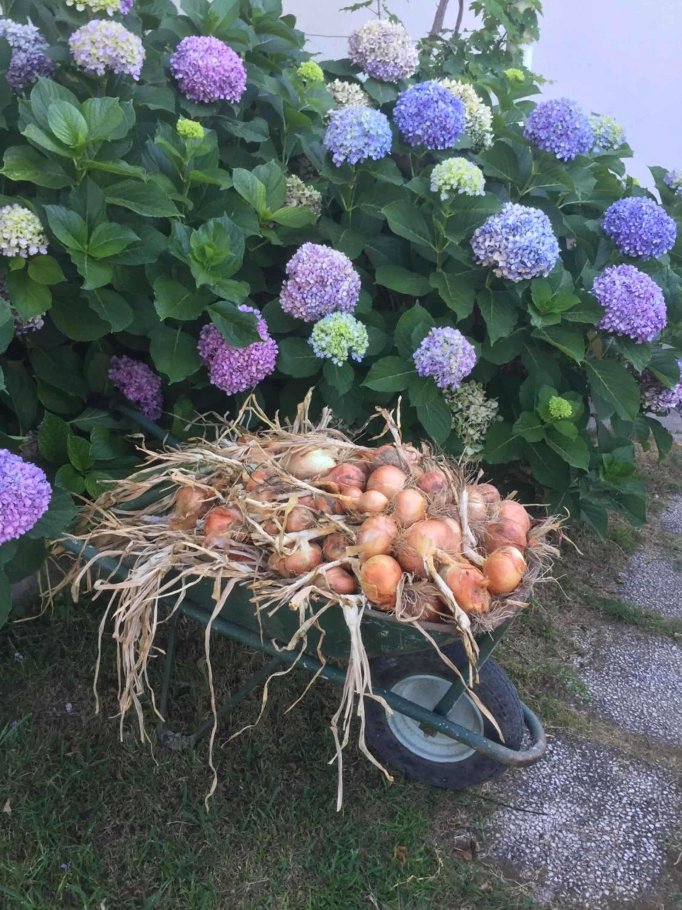 Spring in Hotel & Residence Matarese