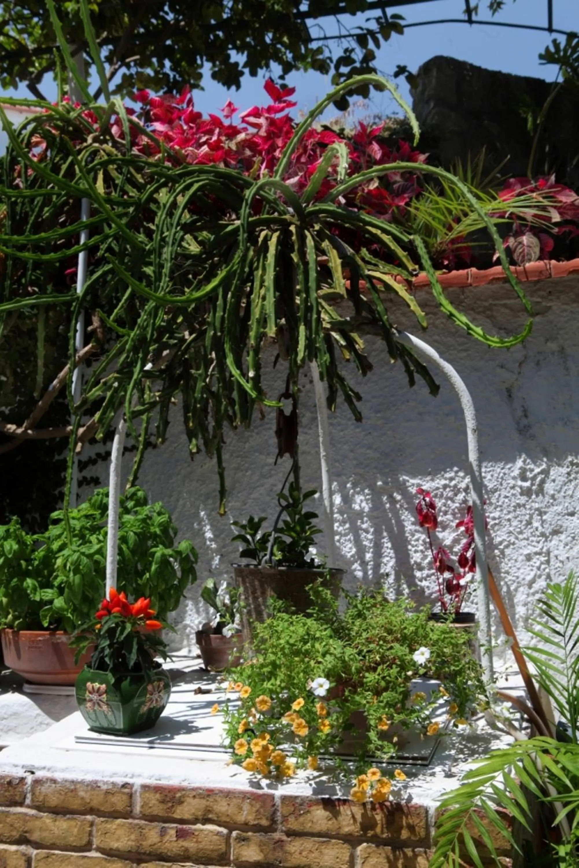 Garden in Hotel & Residence Matarese