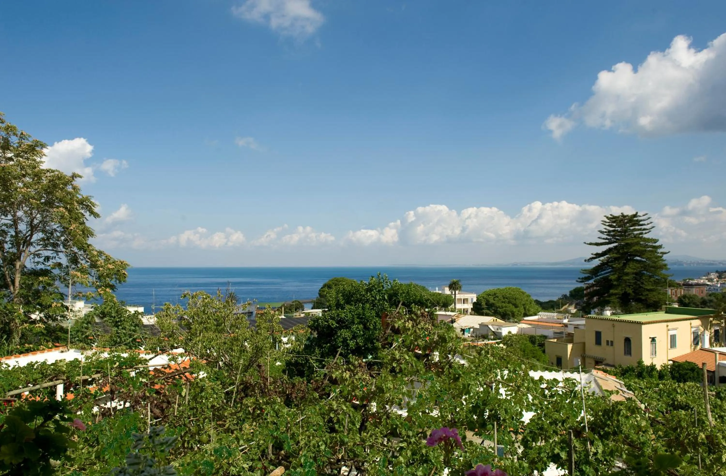 View (from property/room) in Hotel & Residence Matarese