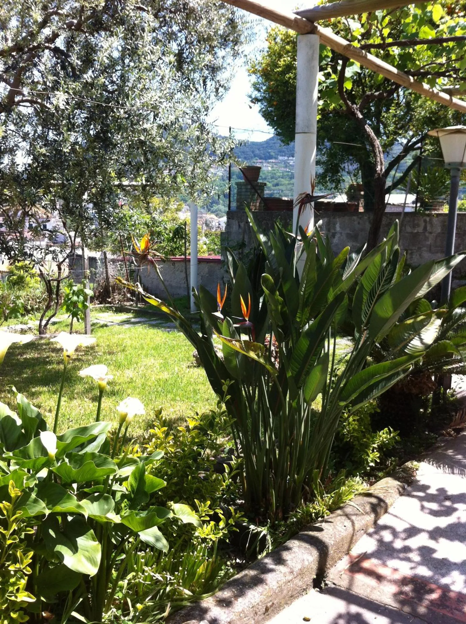 Garden in Hotel & Residence Matarese