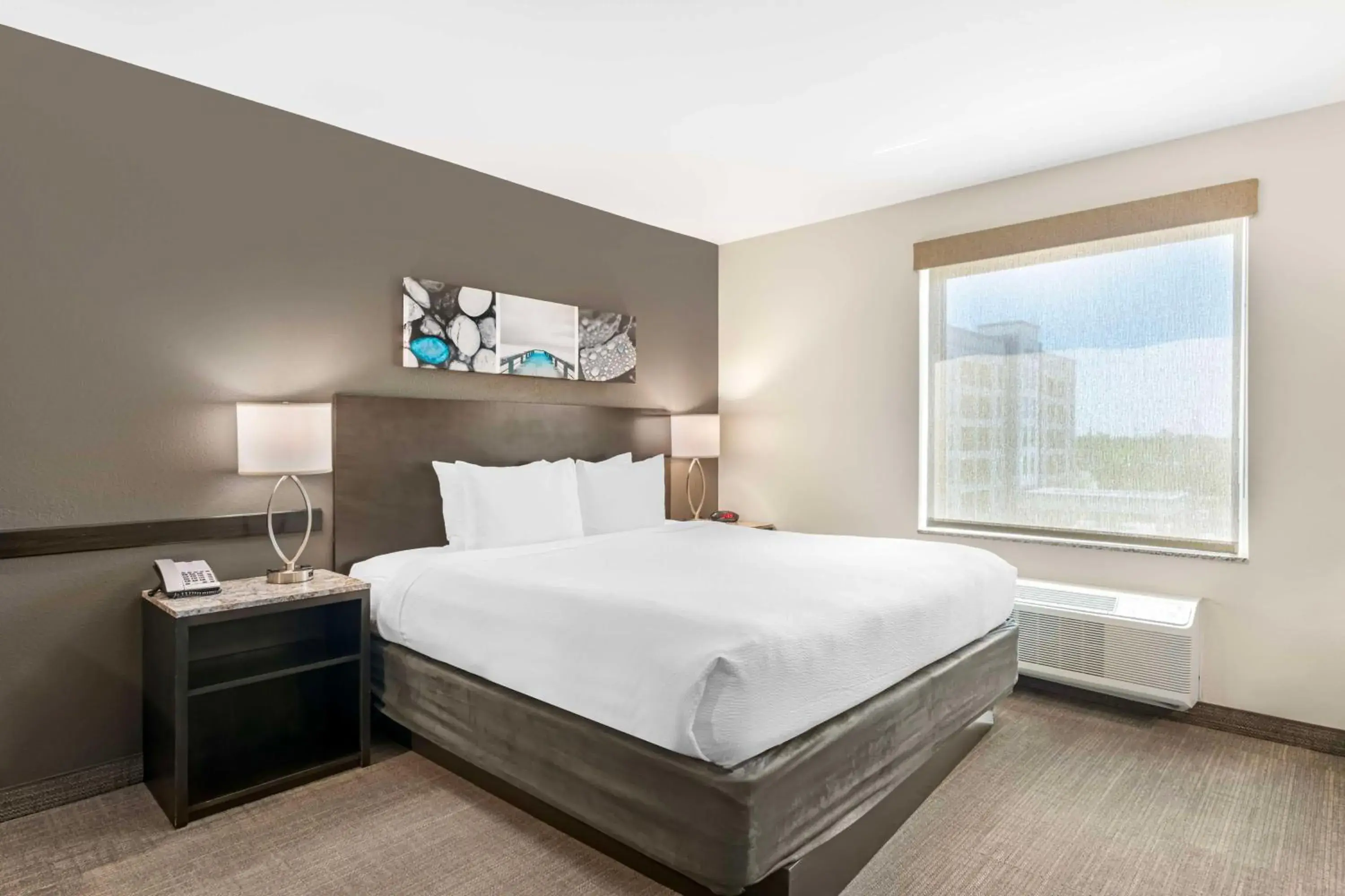 Photo of the whole room, Bed in Magnolia Pointe; BW Signature Collection Photo of the whole room, Bed in Magnolia Pointe; BW Signature Collection