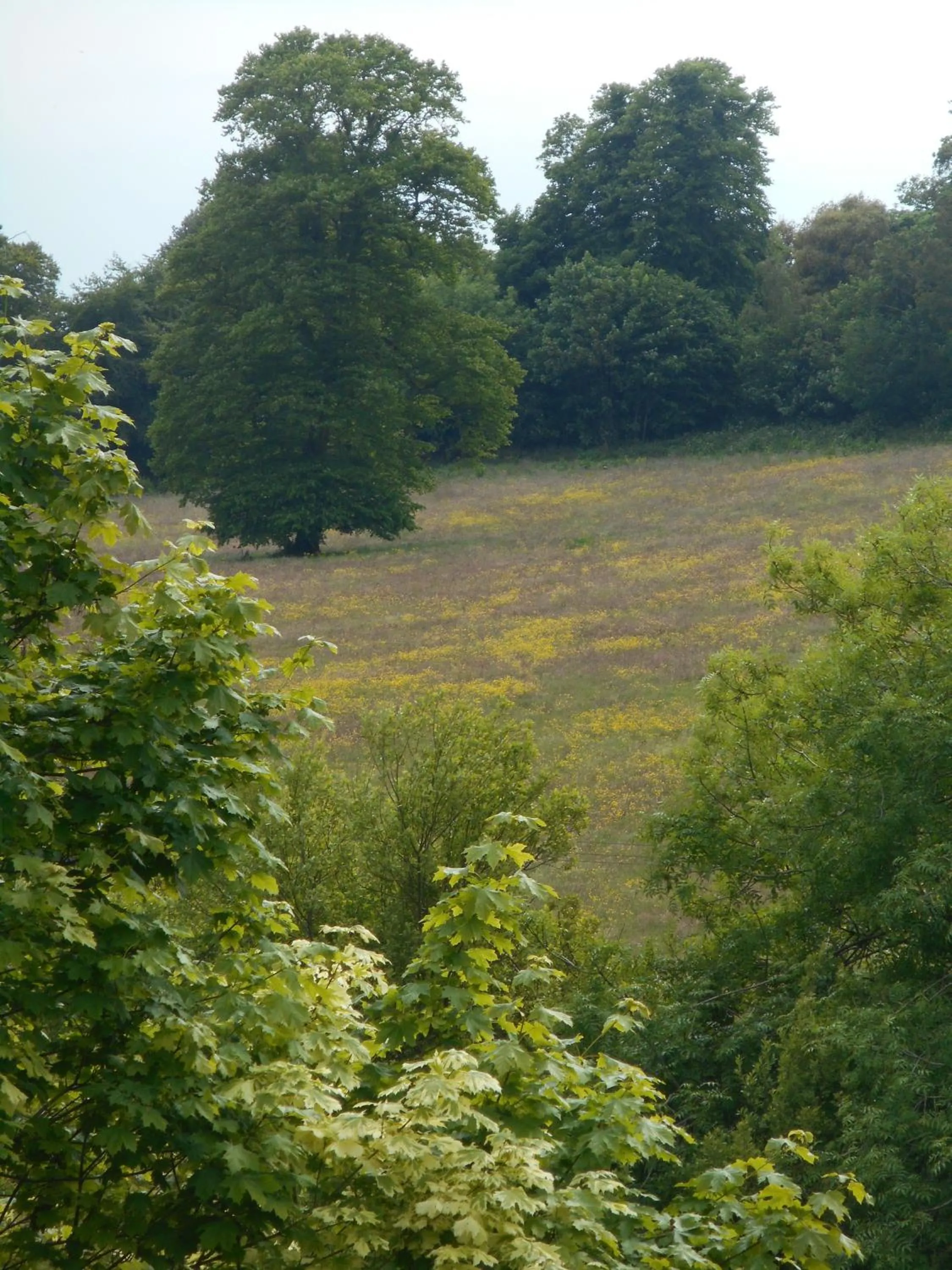 Mountain view in Diamond Hill Country House
