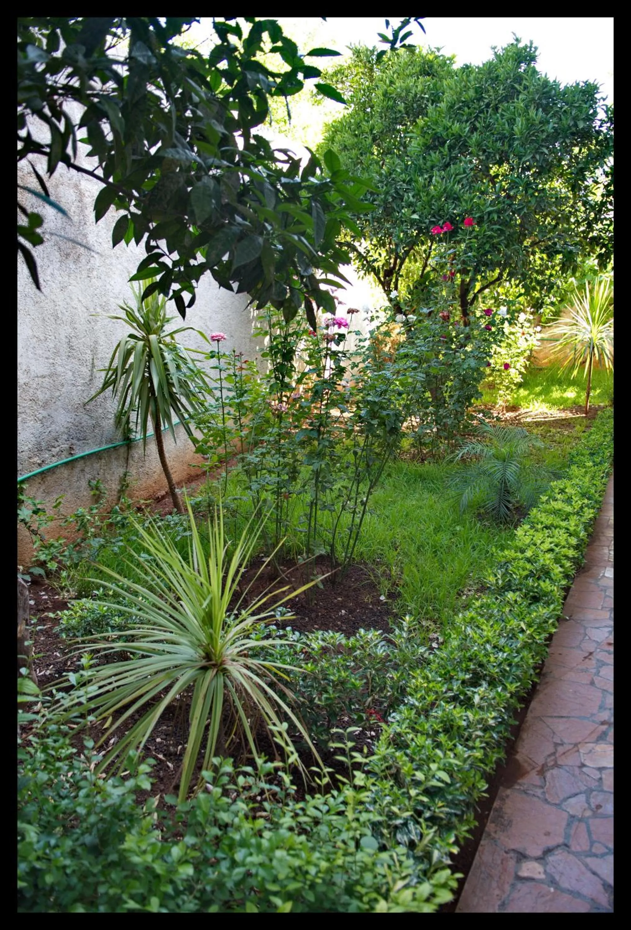 Spring in Riad Raouia HAMMAM & SPA