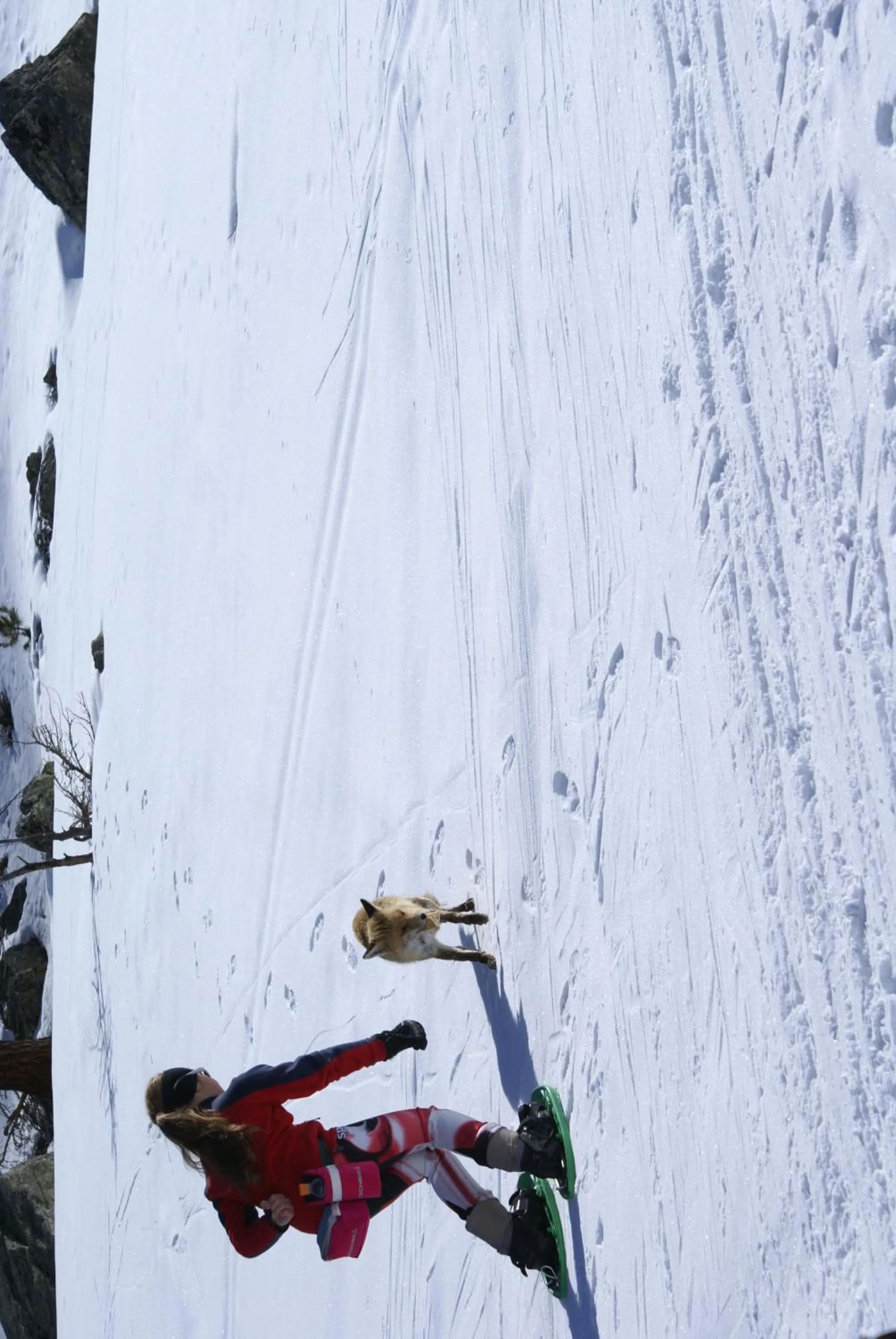 Hiking in Albergo Boule de Neige
