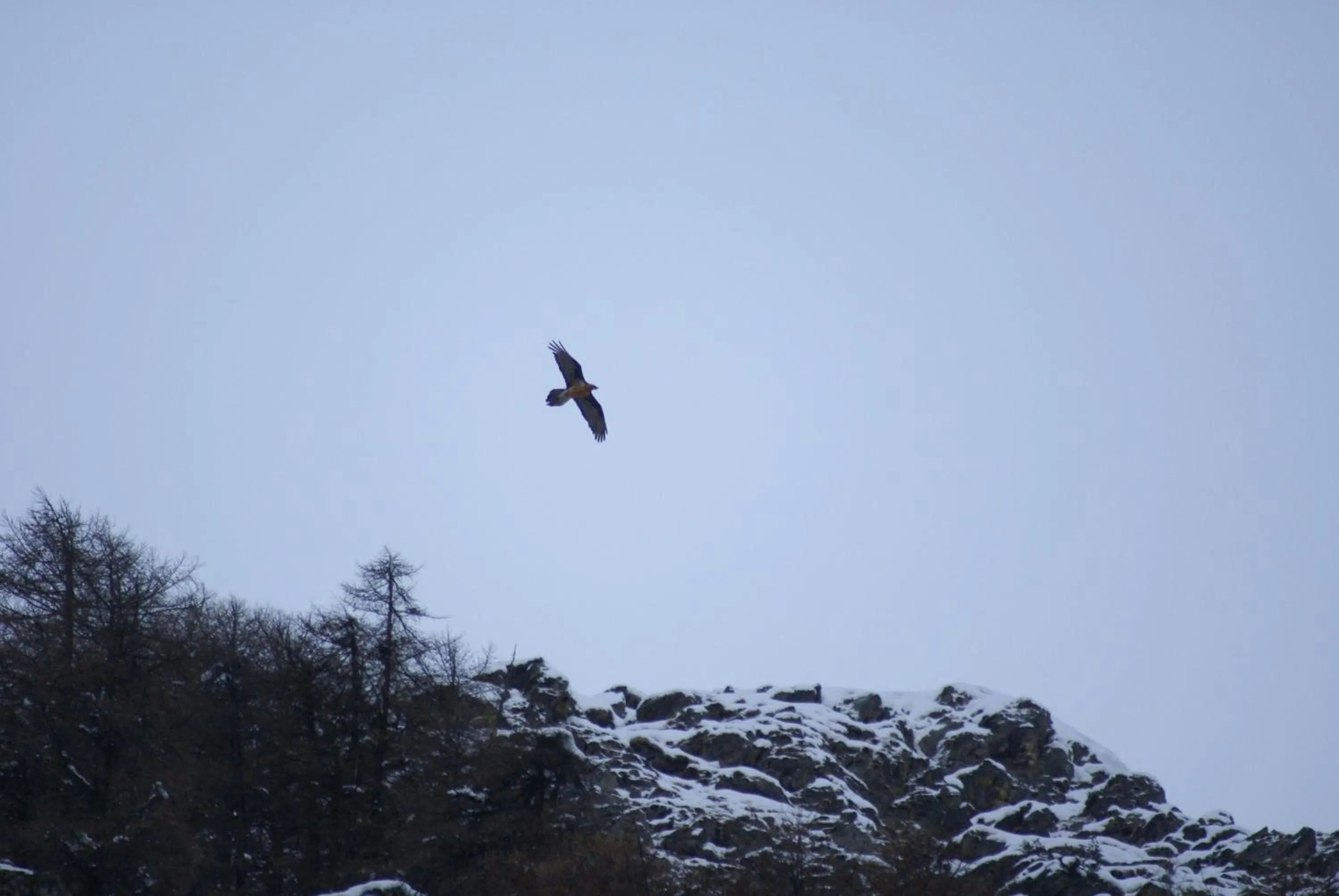 View (from property/room) in Albergo Boule de Neige