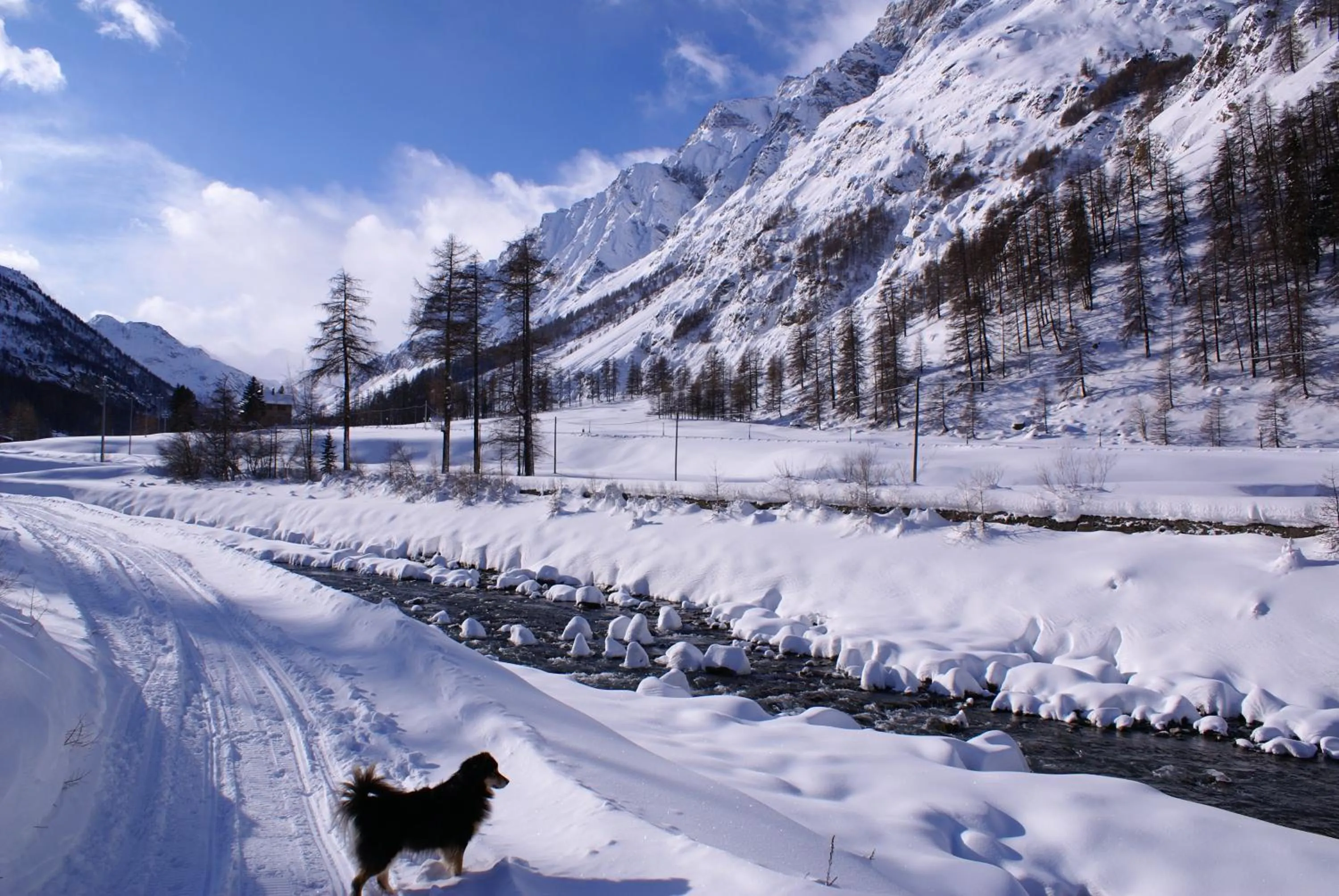Area and facilities in Albergo Boule de Neige