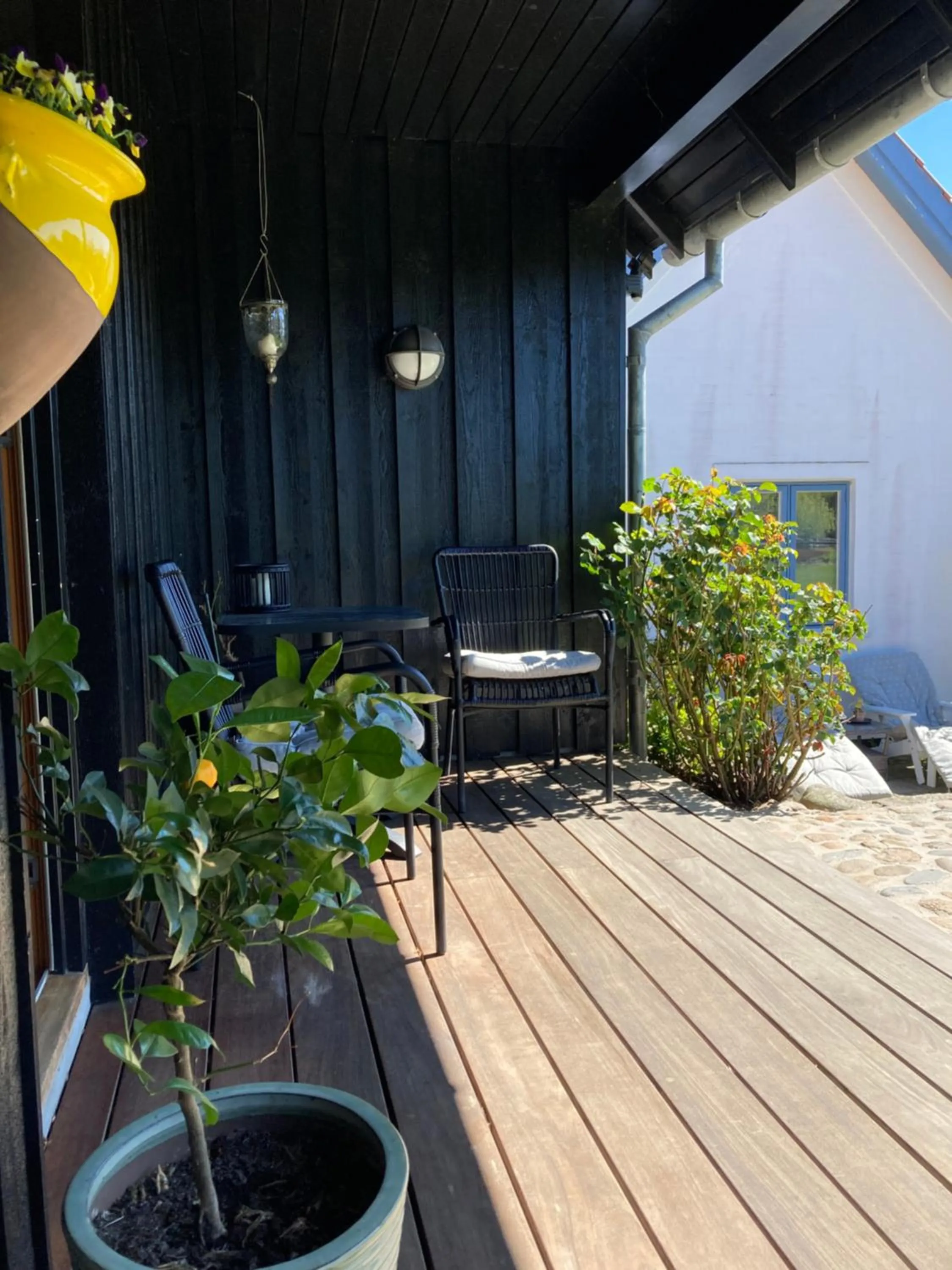 View (from property/room) in Troense Bed and Breakfast by the sea