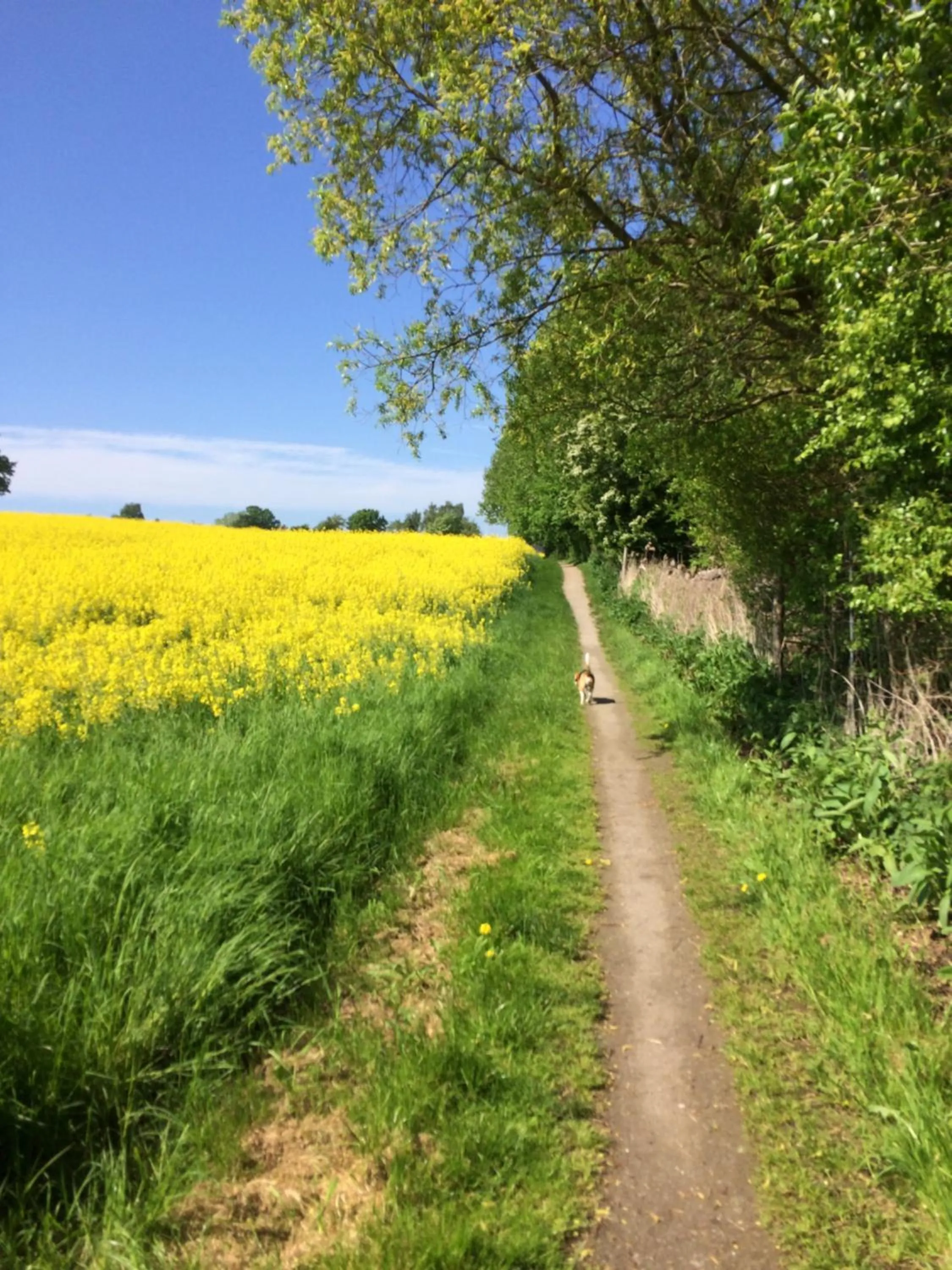 Other in Troense Bed and Breakfast by the sea