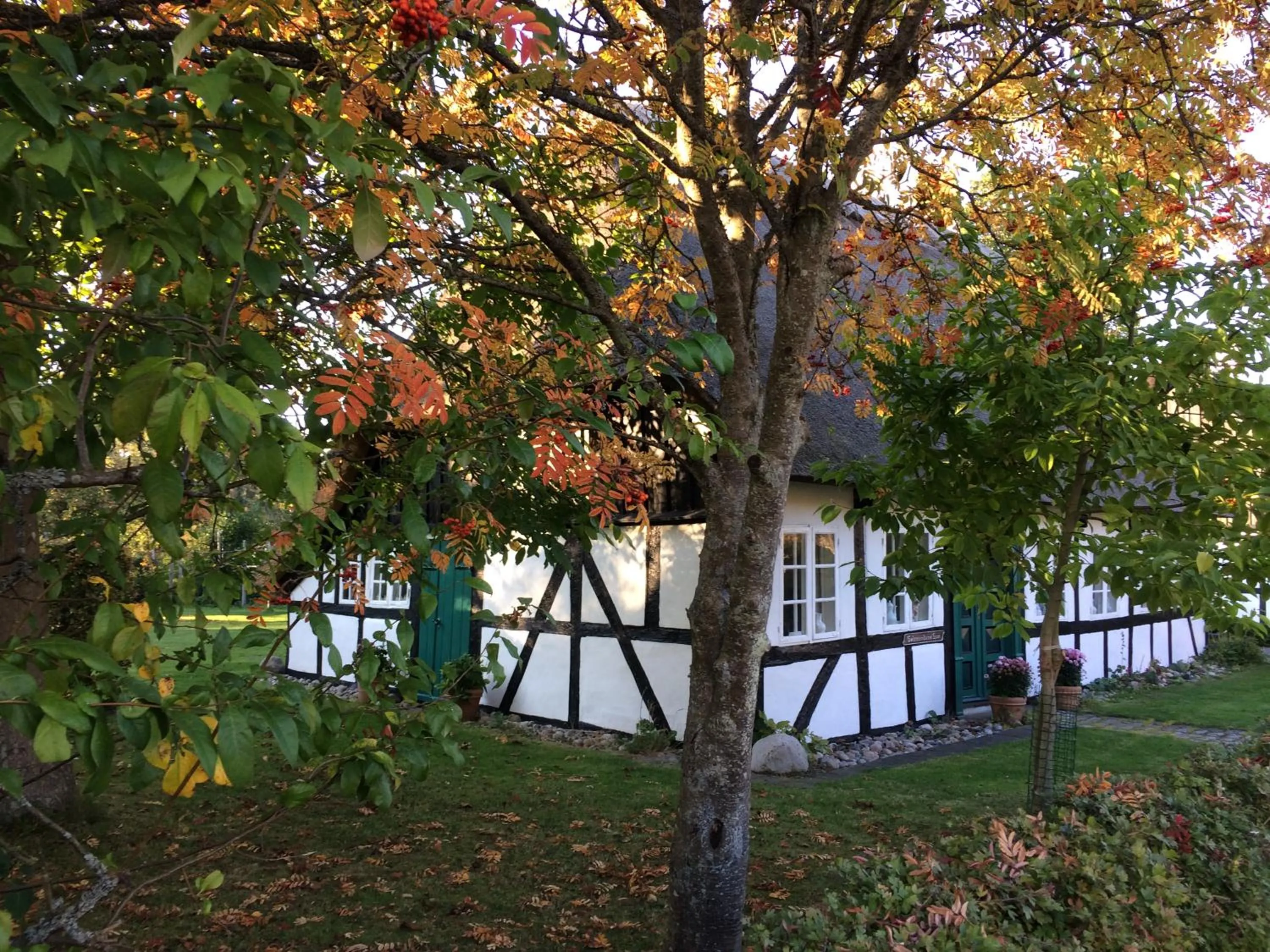Neighbourhood in Troense Bed and Breakfast by the sea