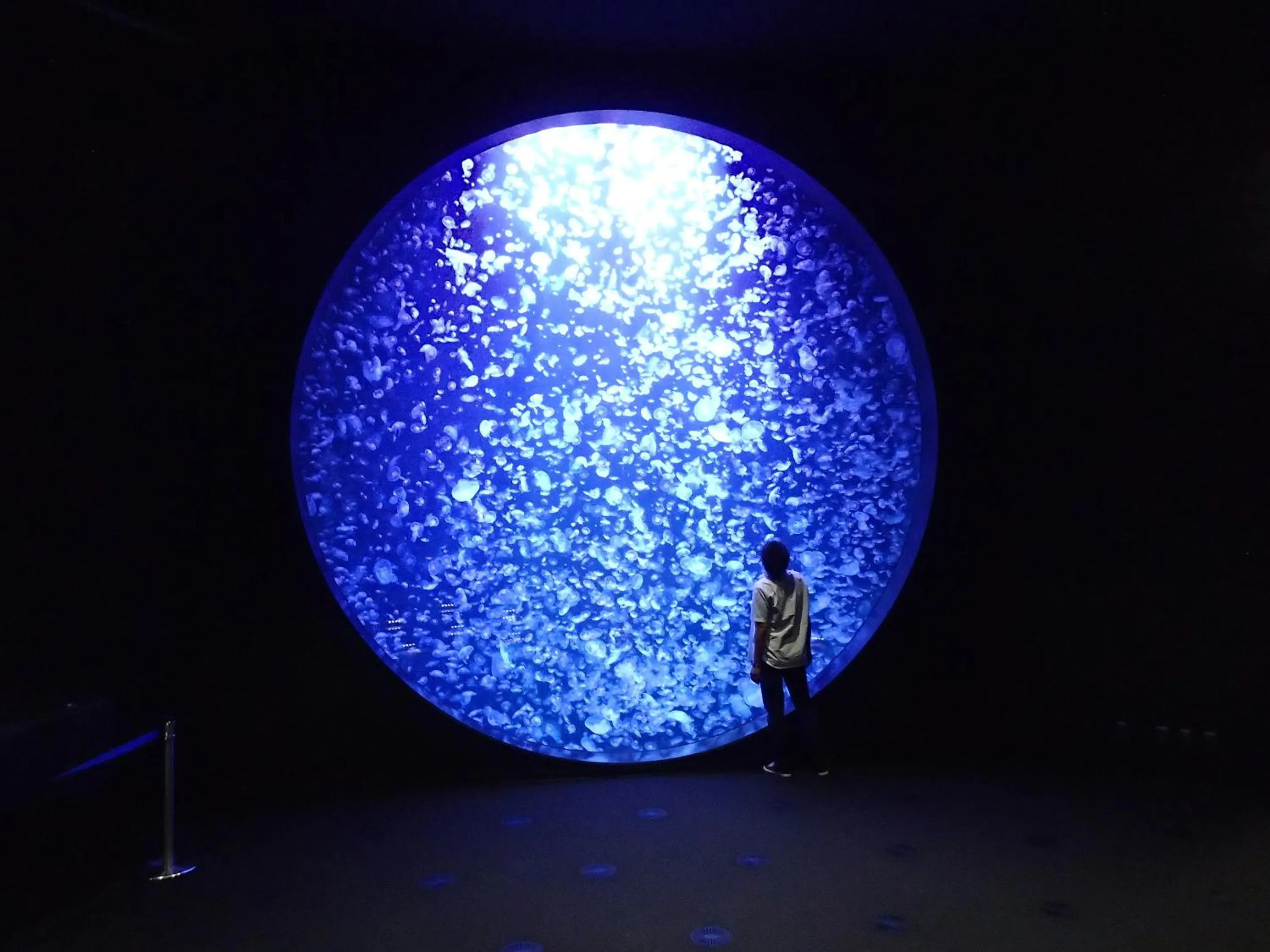 Nearby landmark in Shonai Hotel Suiden Terrasse