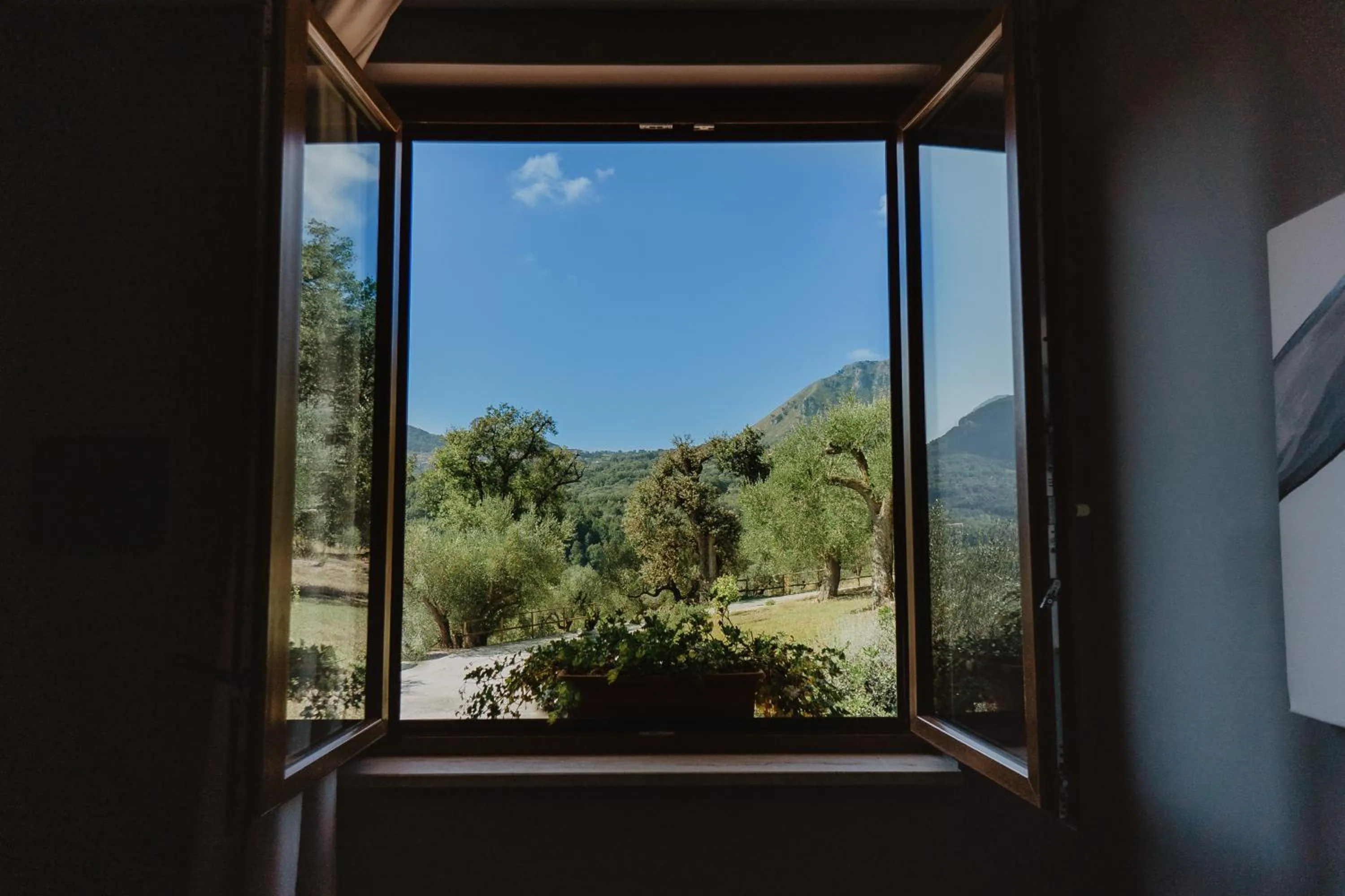 Garden view in Tenuta Terre di Bosco Oasi di Relax nel Cilento