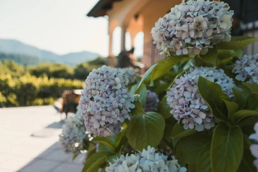 Property building in Il Frescale Country House