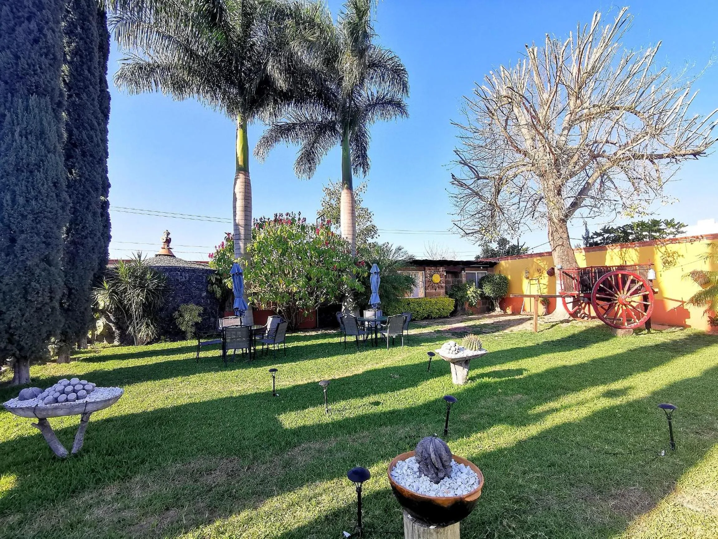 Garden in Hotel La Estancia