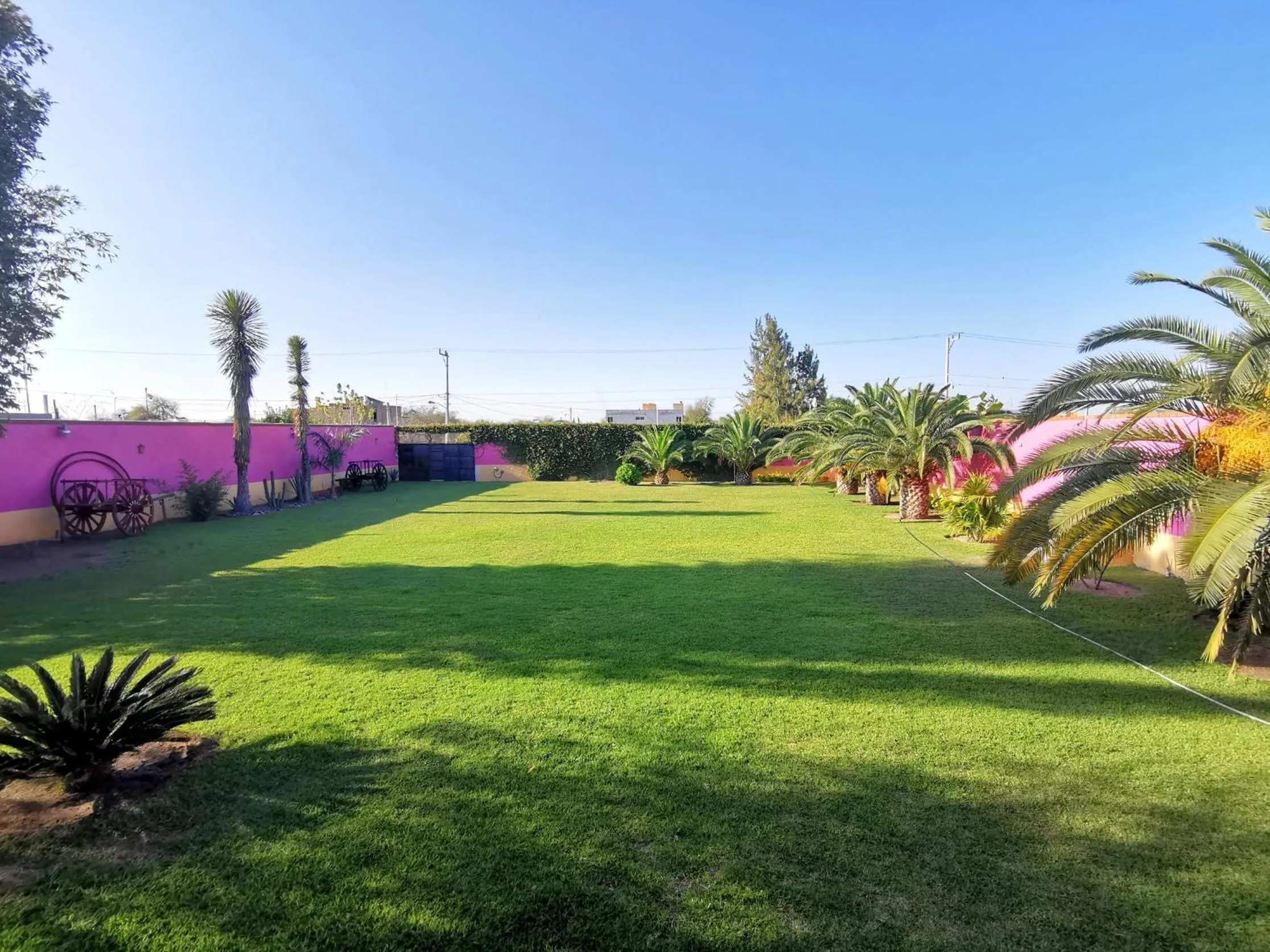 Garden in Hotel La Estancia