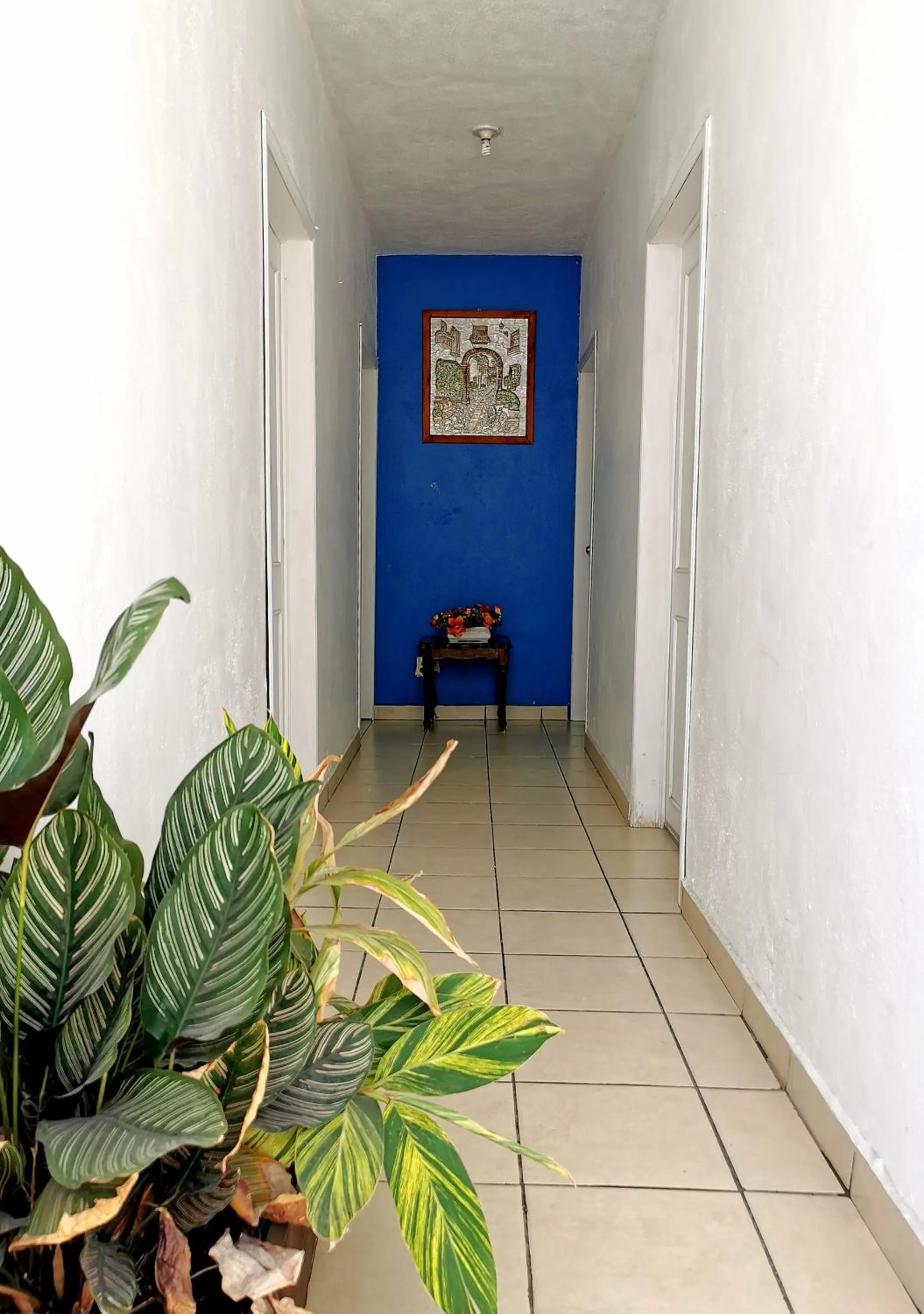 Facade/entrance in Hotel La Estancia