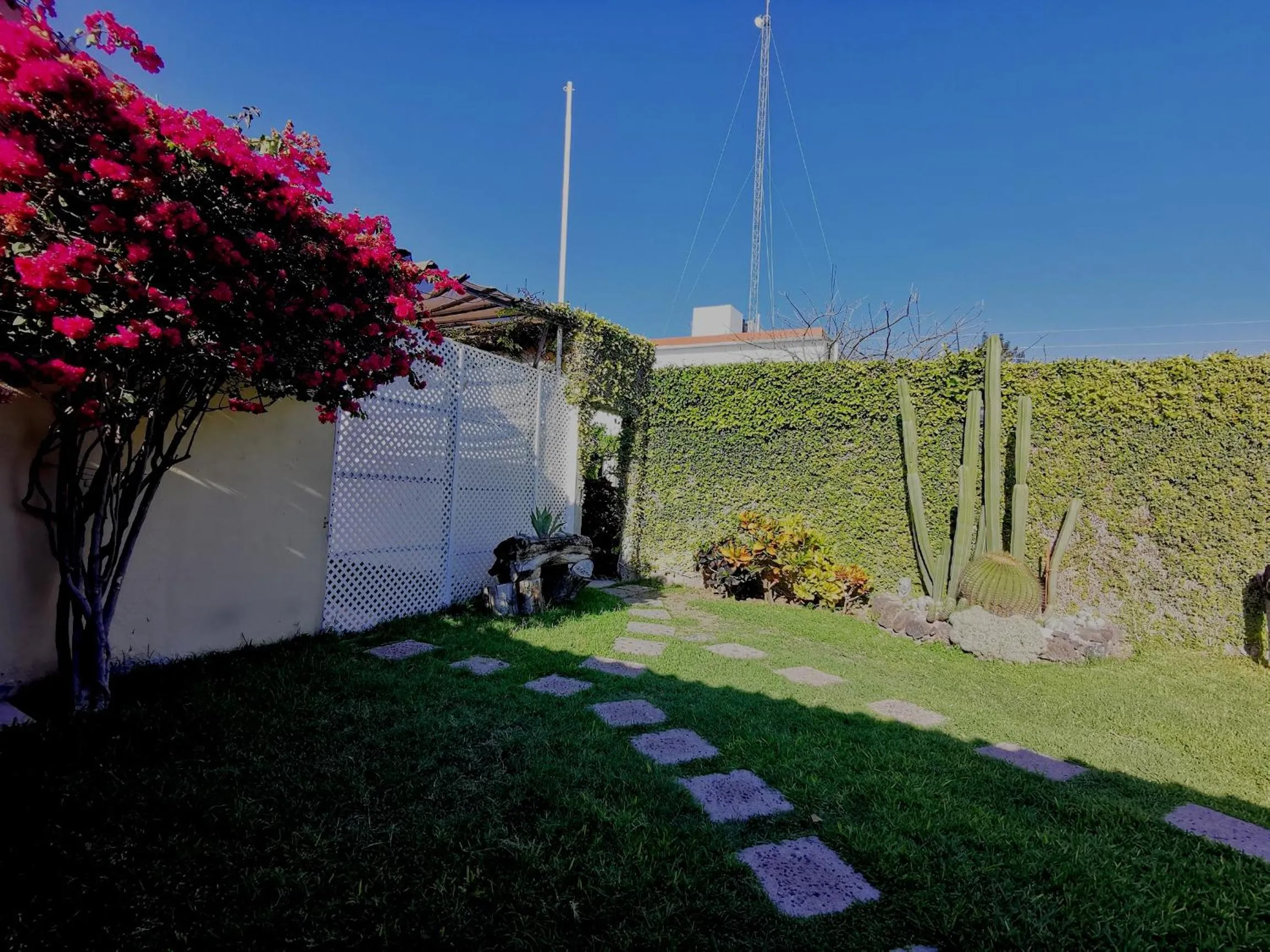 Garden in Hotel La Estancia