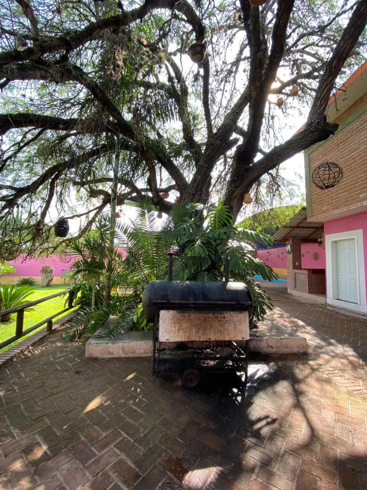 Garden in Hotel La Estancia