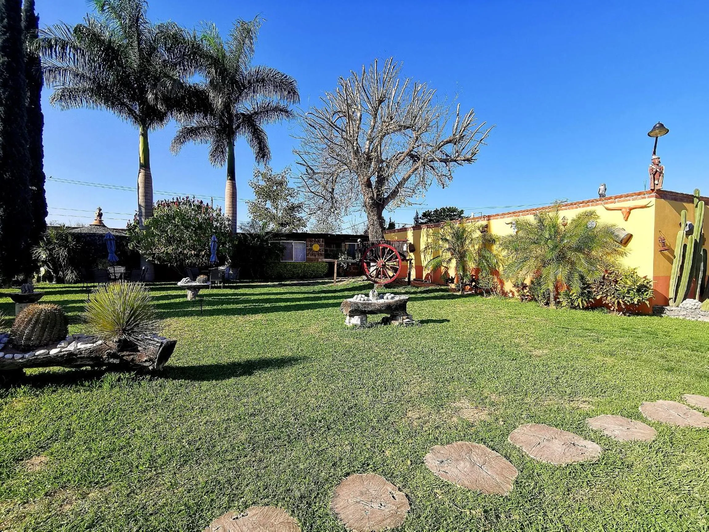 Garden in Hotel La Estancia