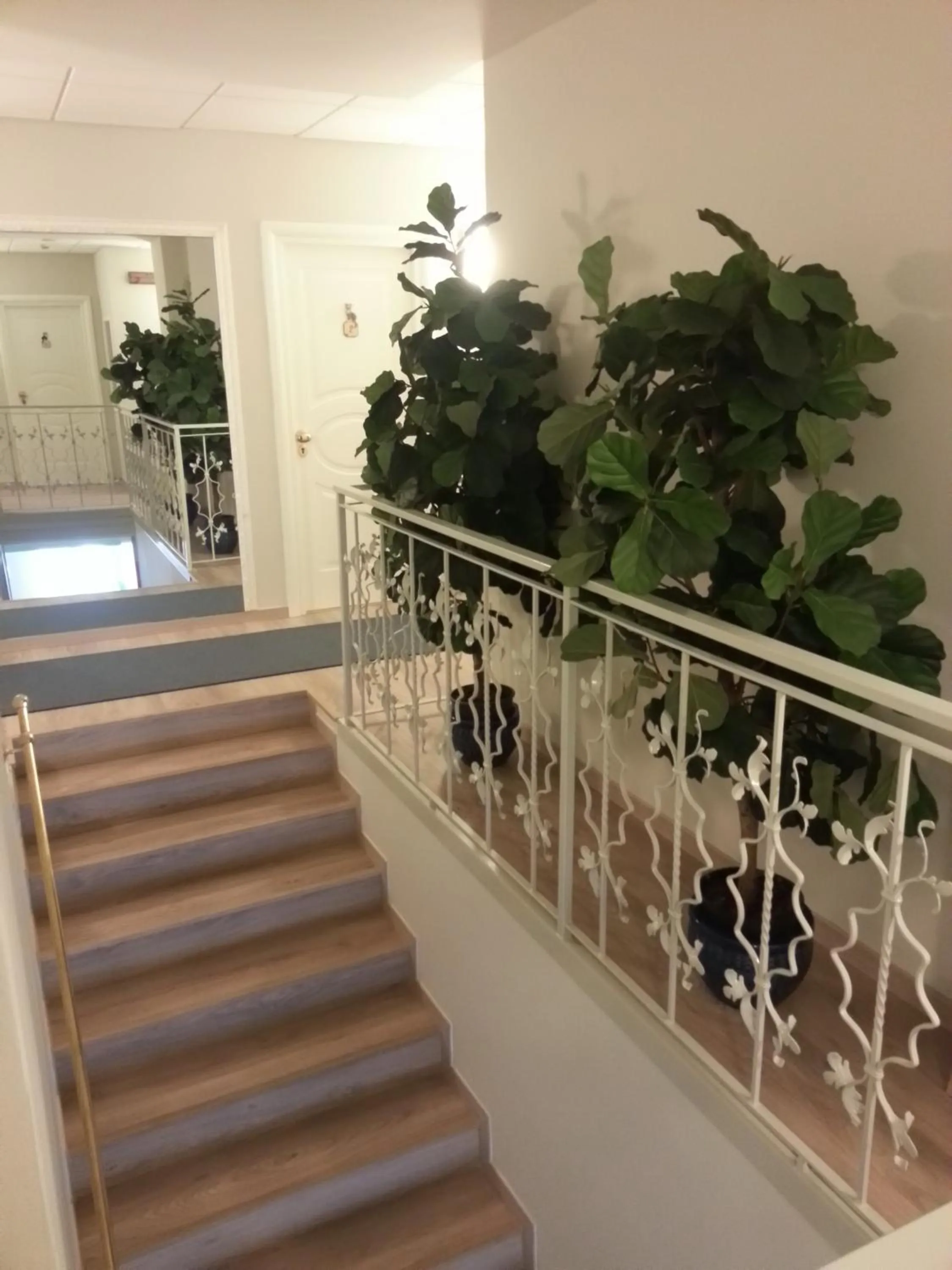 Decorative detail in Hotel Il Gatto