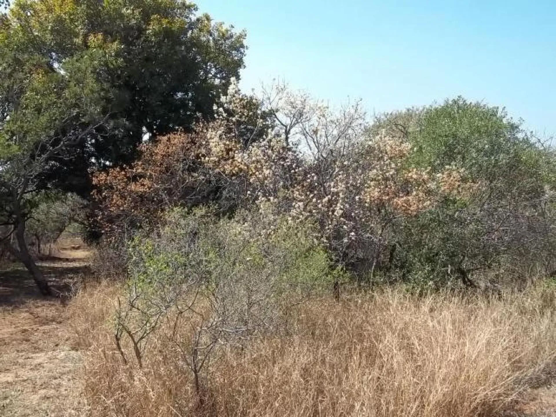 Natural landscape in Aloes Bush Stay