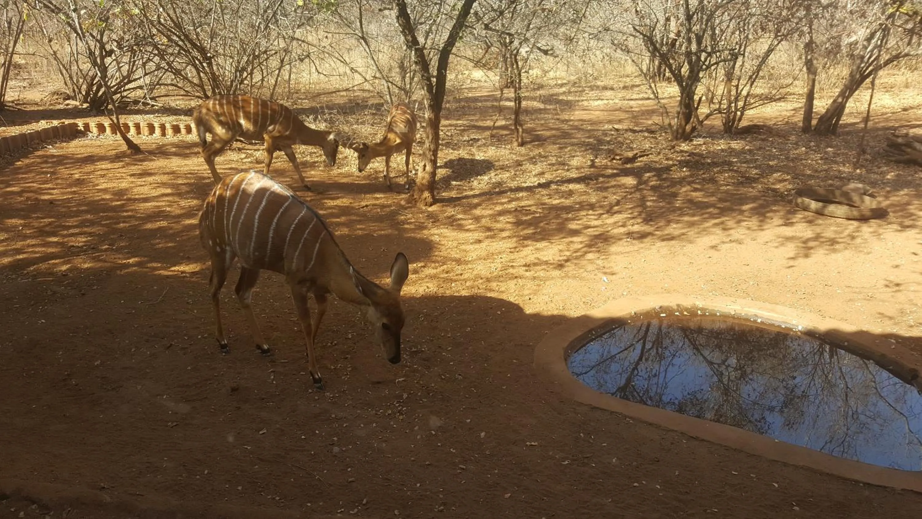 View (from property/room) in Aloes Bush Stay
