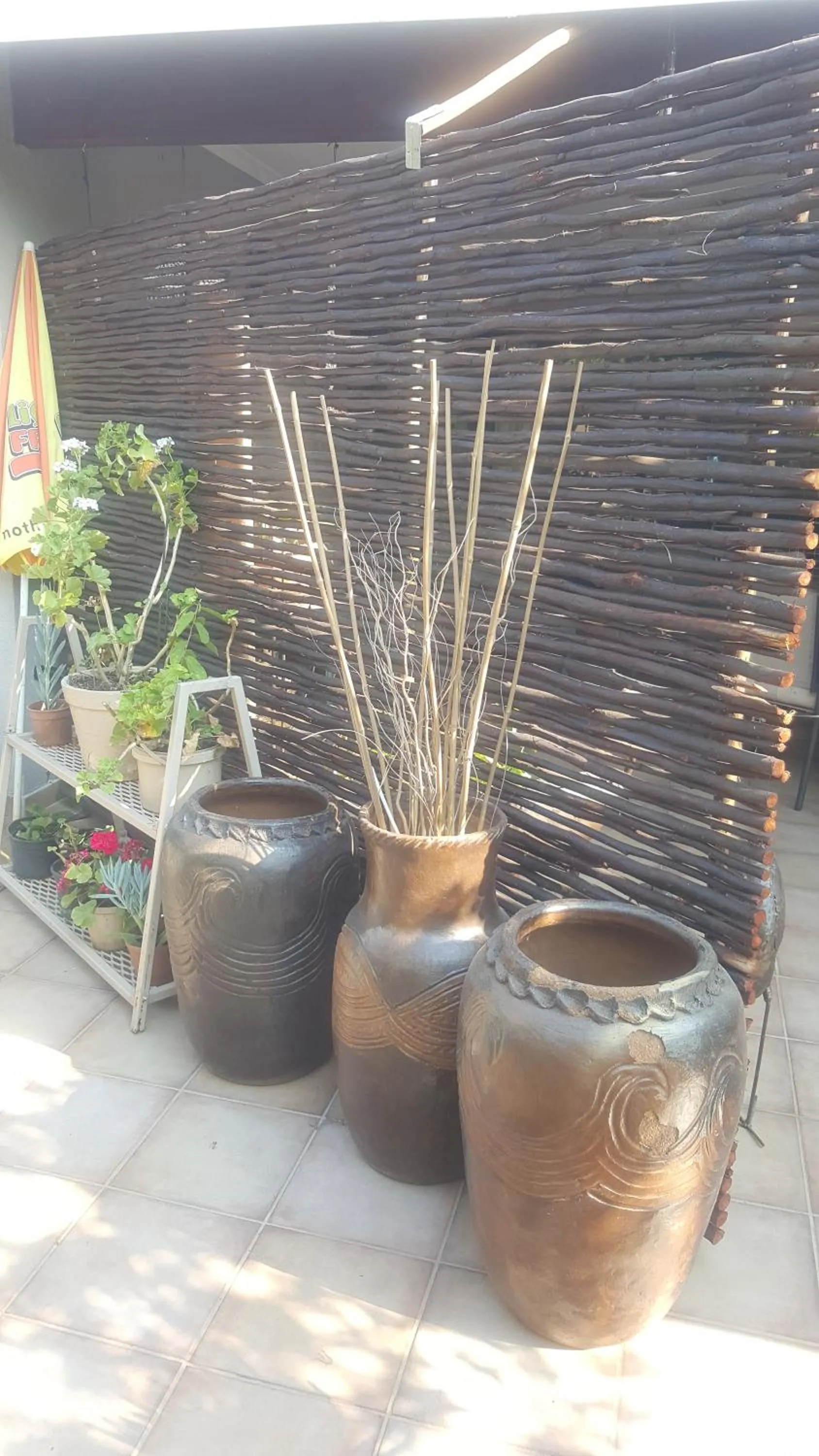 Balcony/Terrace in Aloes Bush Stay