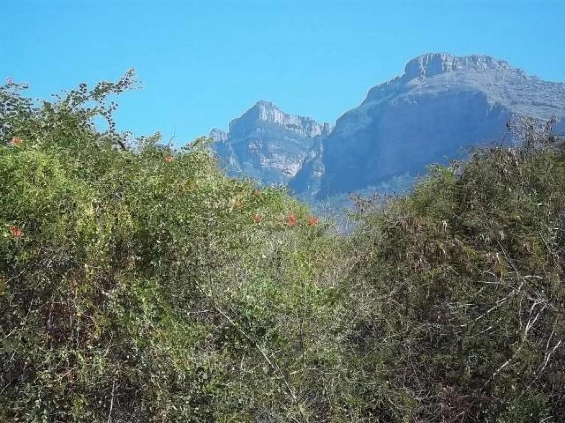 Mountain view in Aloes Bush Stay