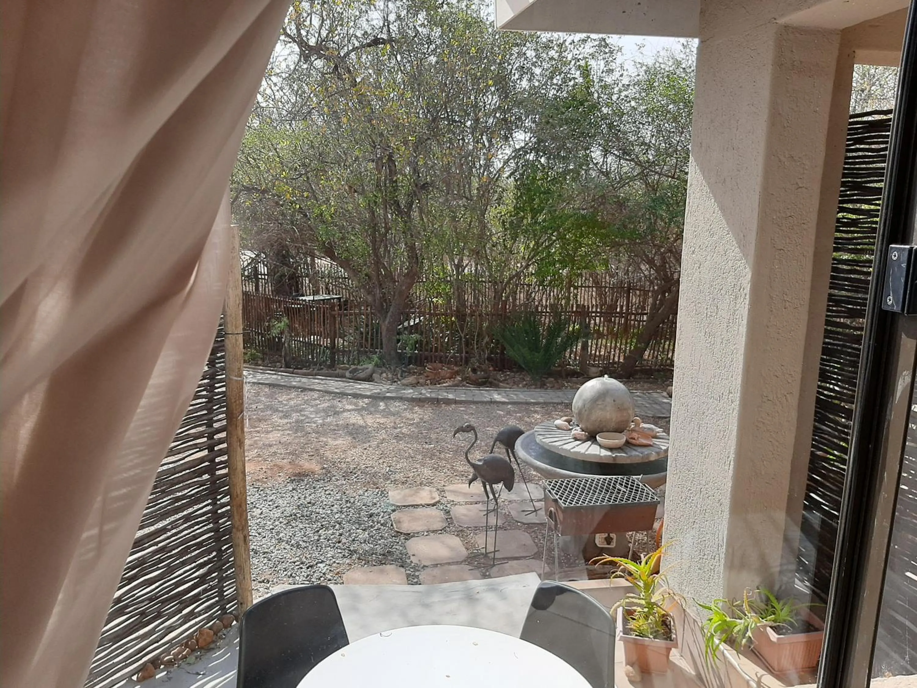 Garden view in Aloes Bush Stay