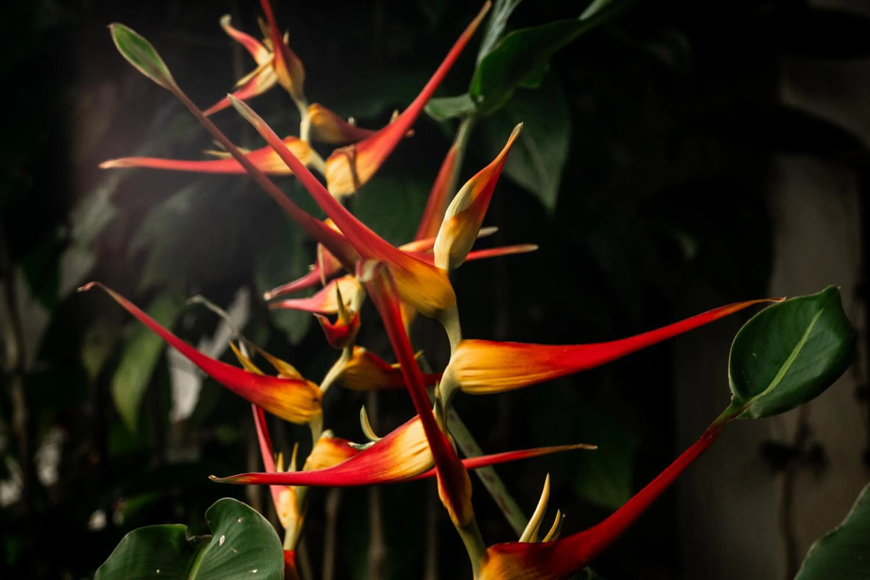 Serendipity Hospedaje Boutique