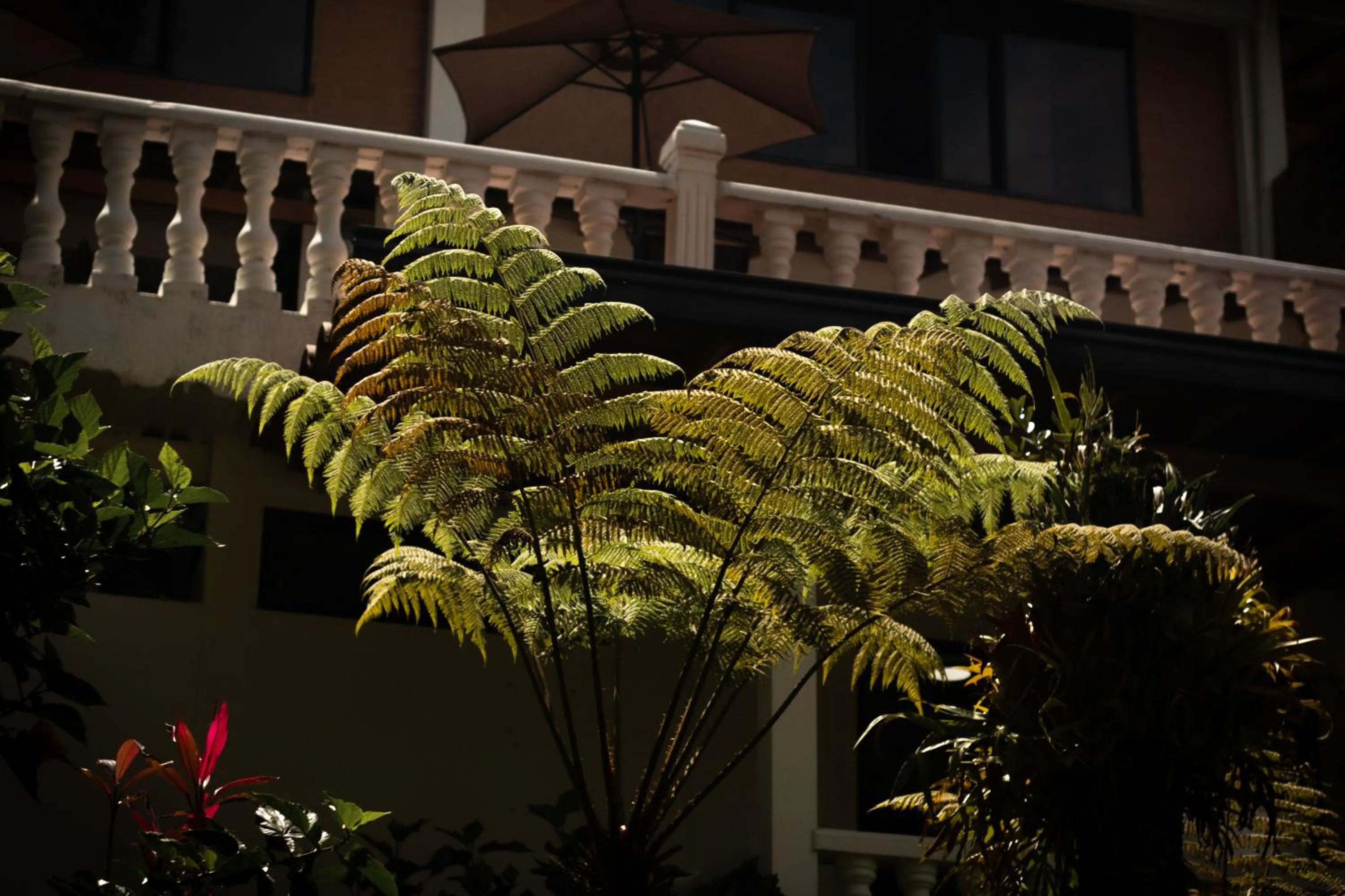 Serendipity Hospedaje Boutique