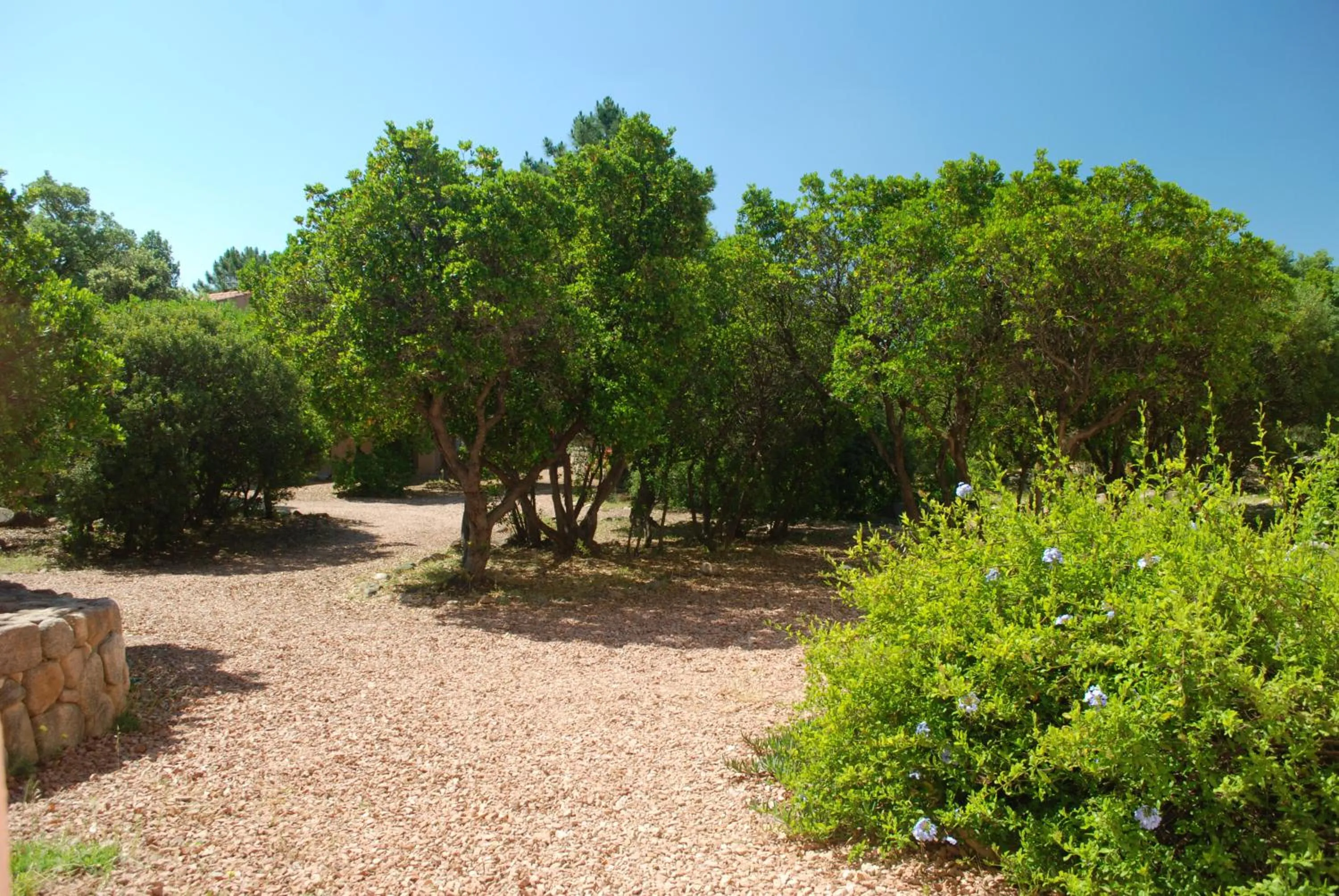 View (from property/room) in Residence Riviera