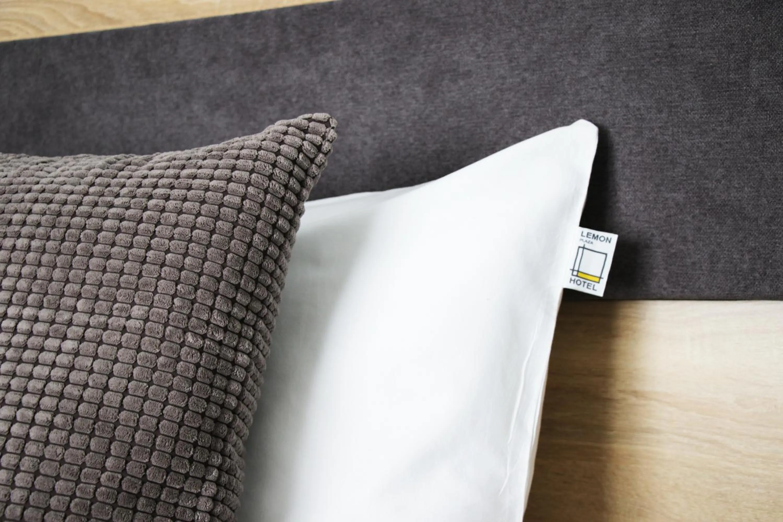 TV and multimedia in Lemon Plaza Hotel