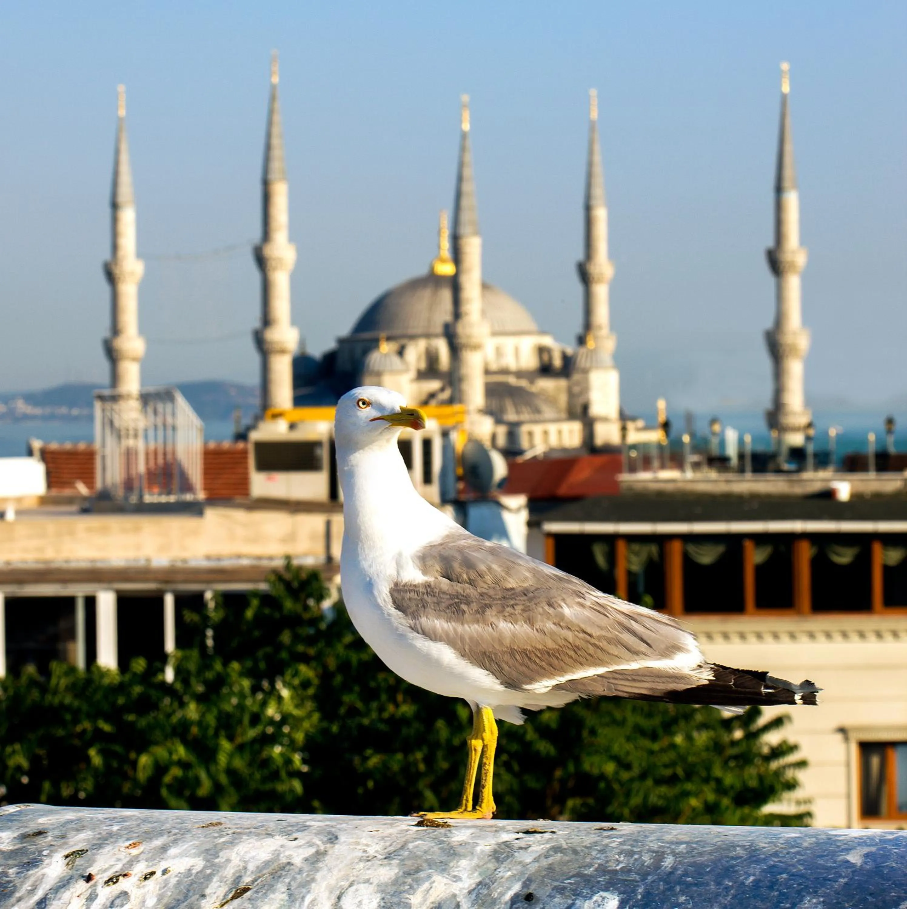 Other in Nowy Efendi Hotel - Special Category