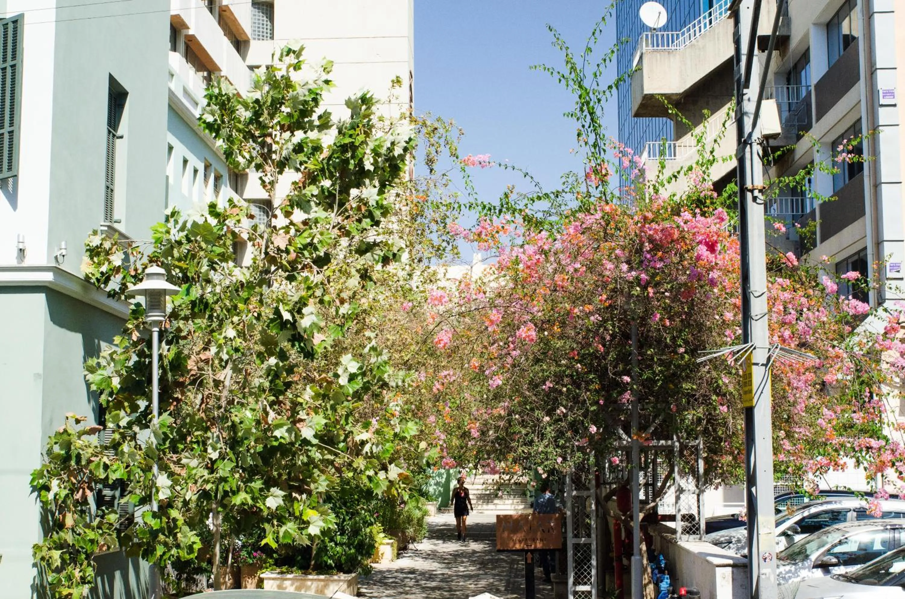 Property building in Villa Rothschild by Zvieli Hotels