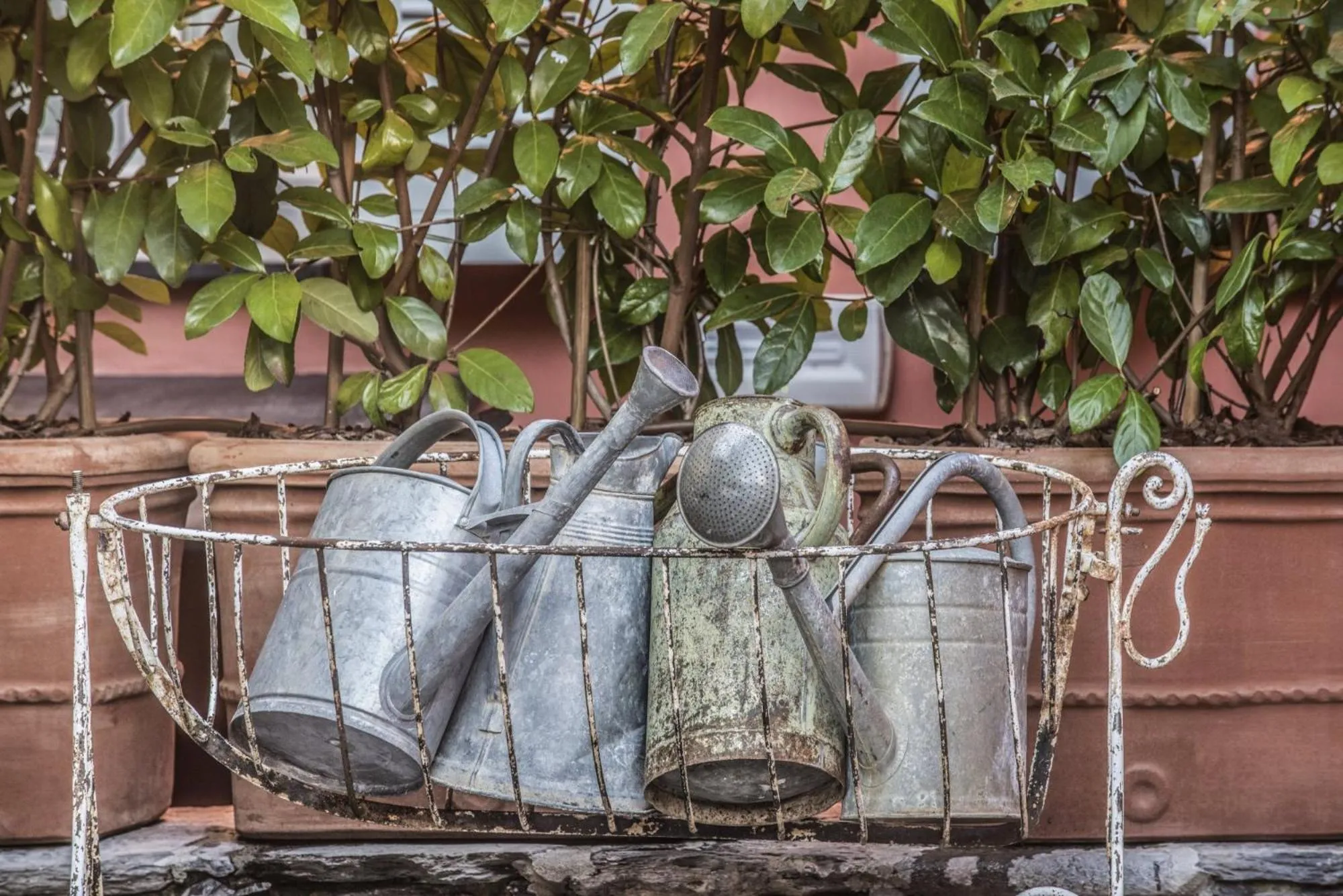 Decorative detail in Relais Del Maro