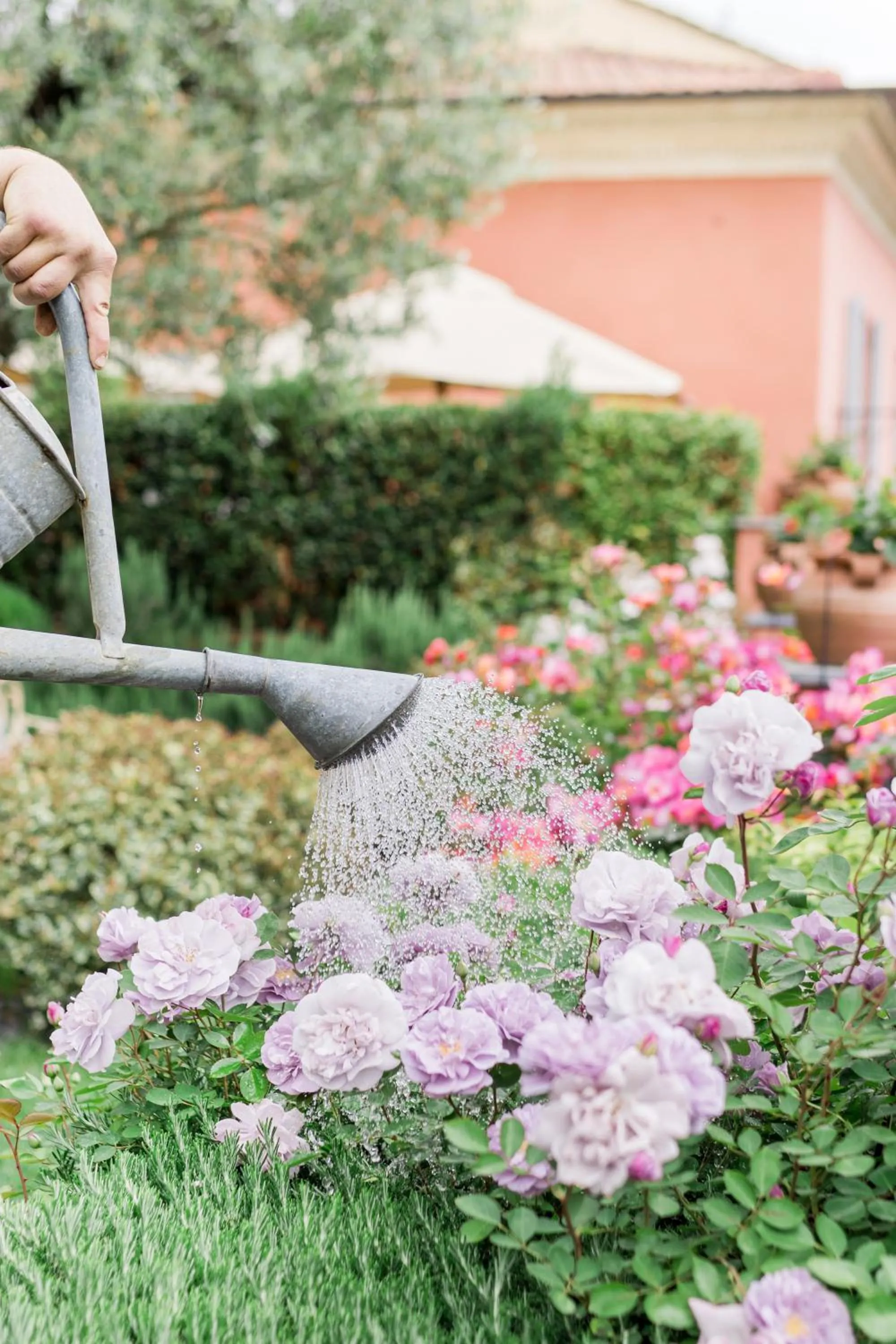 Garden in Relais Del Maro