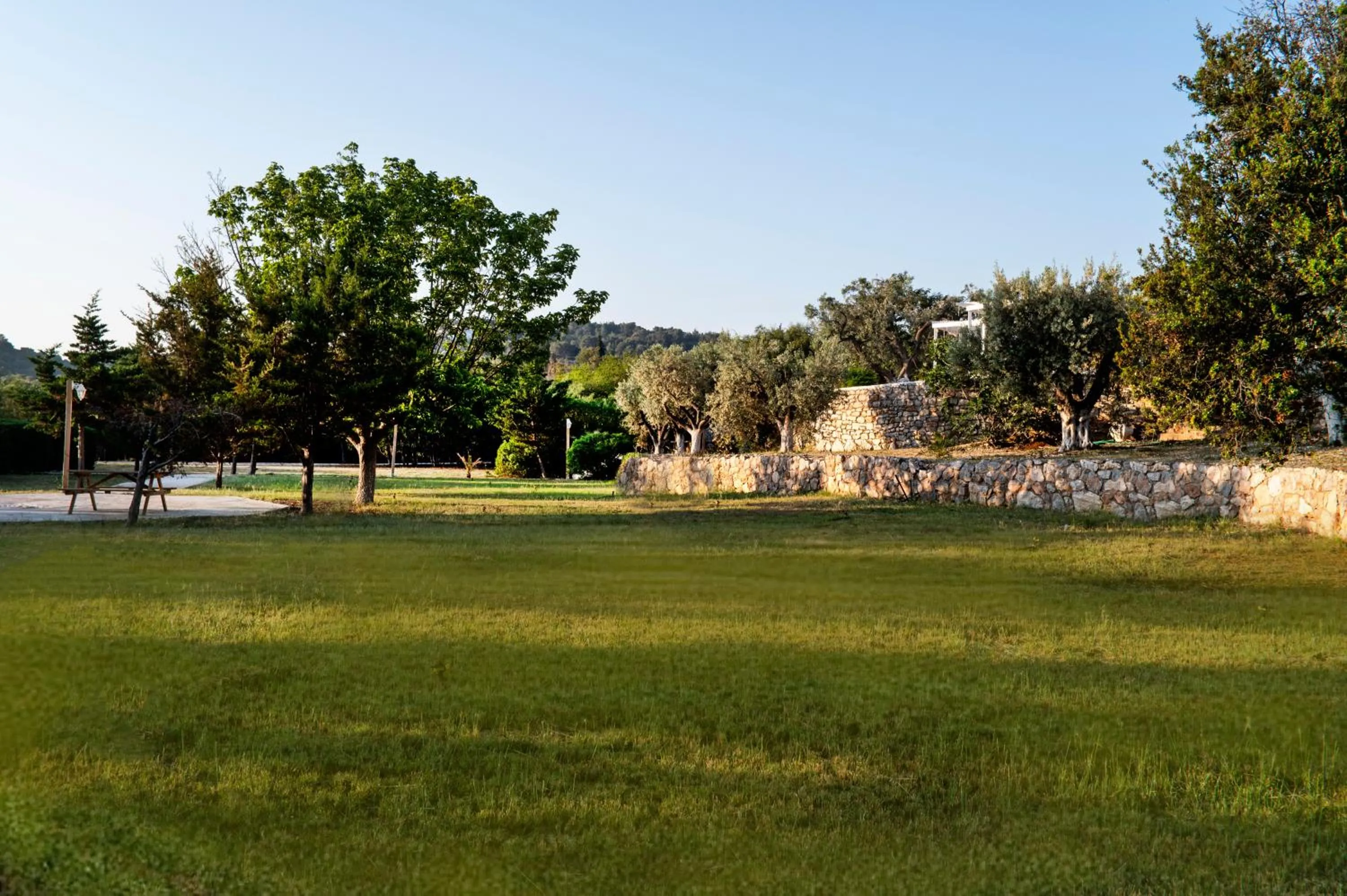 Garden in Galaxy Hotel