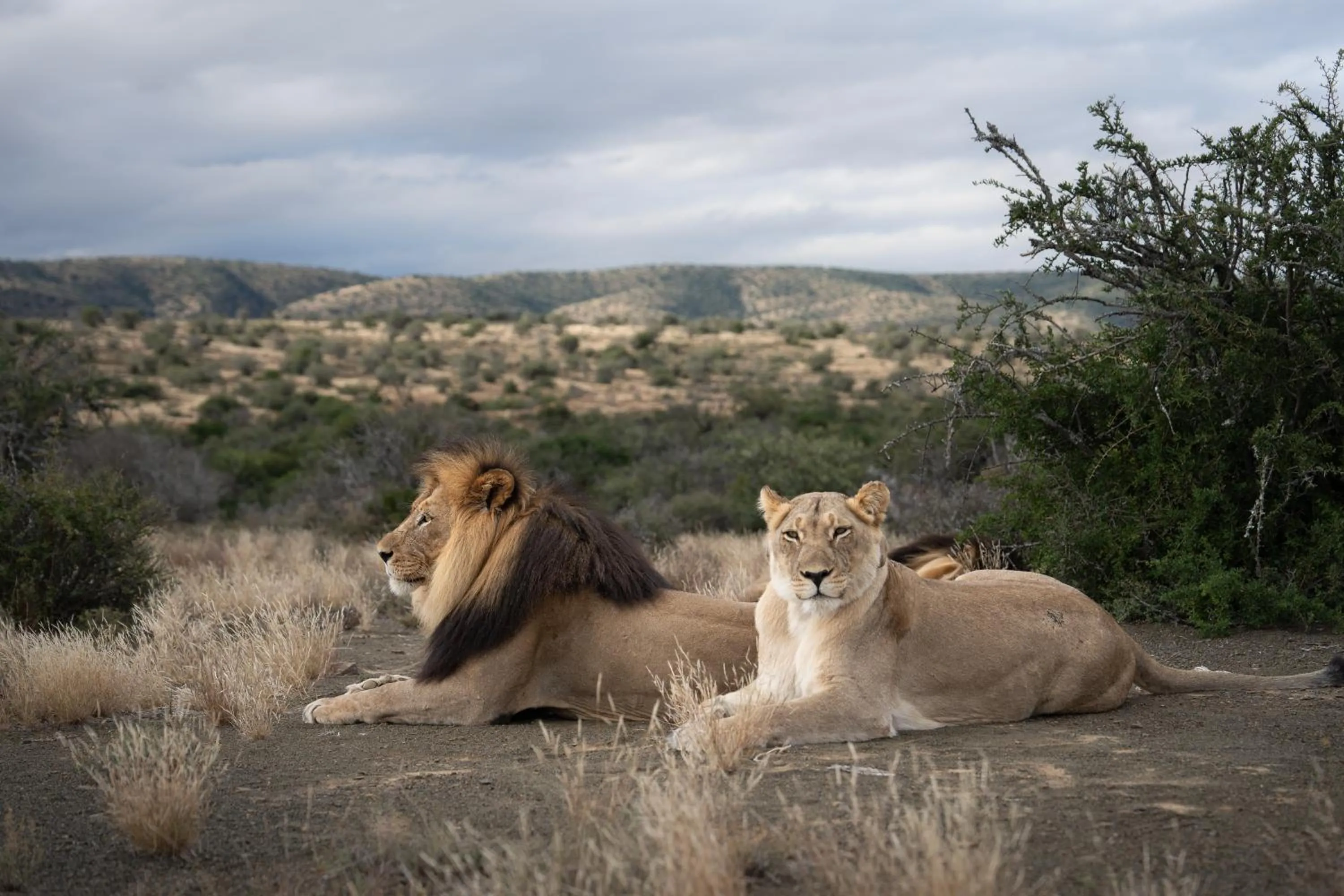 Natural landscape in Kuzuko Lodge