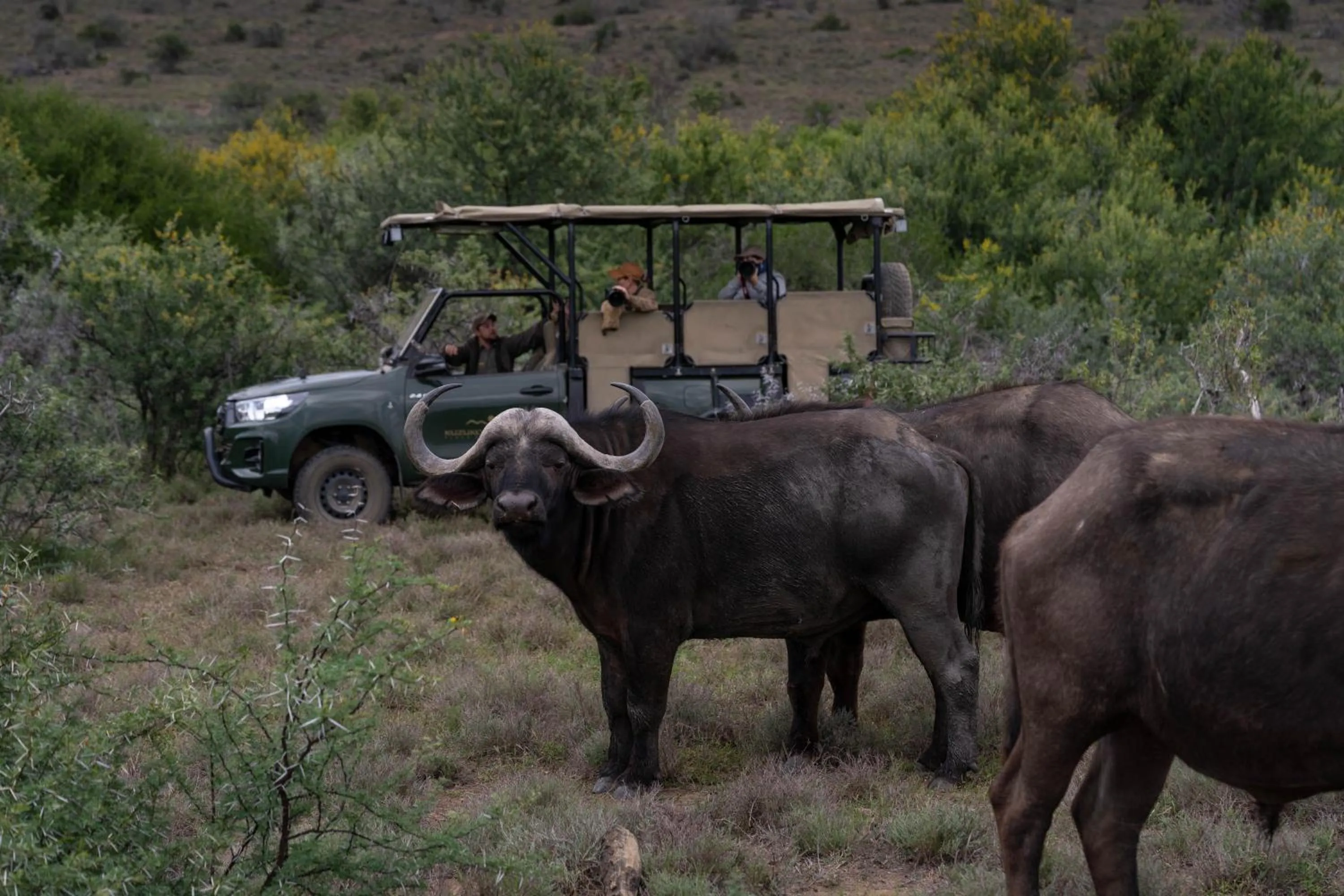 Natural landscape in Kuzuko Lodge