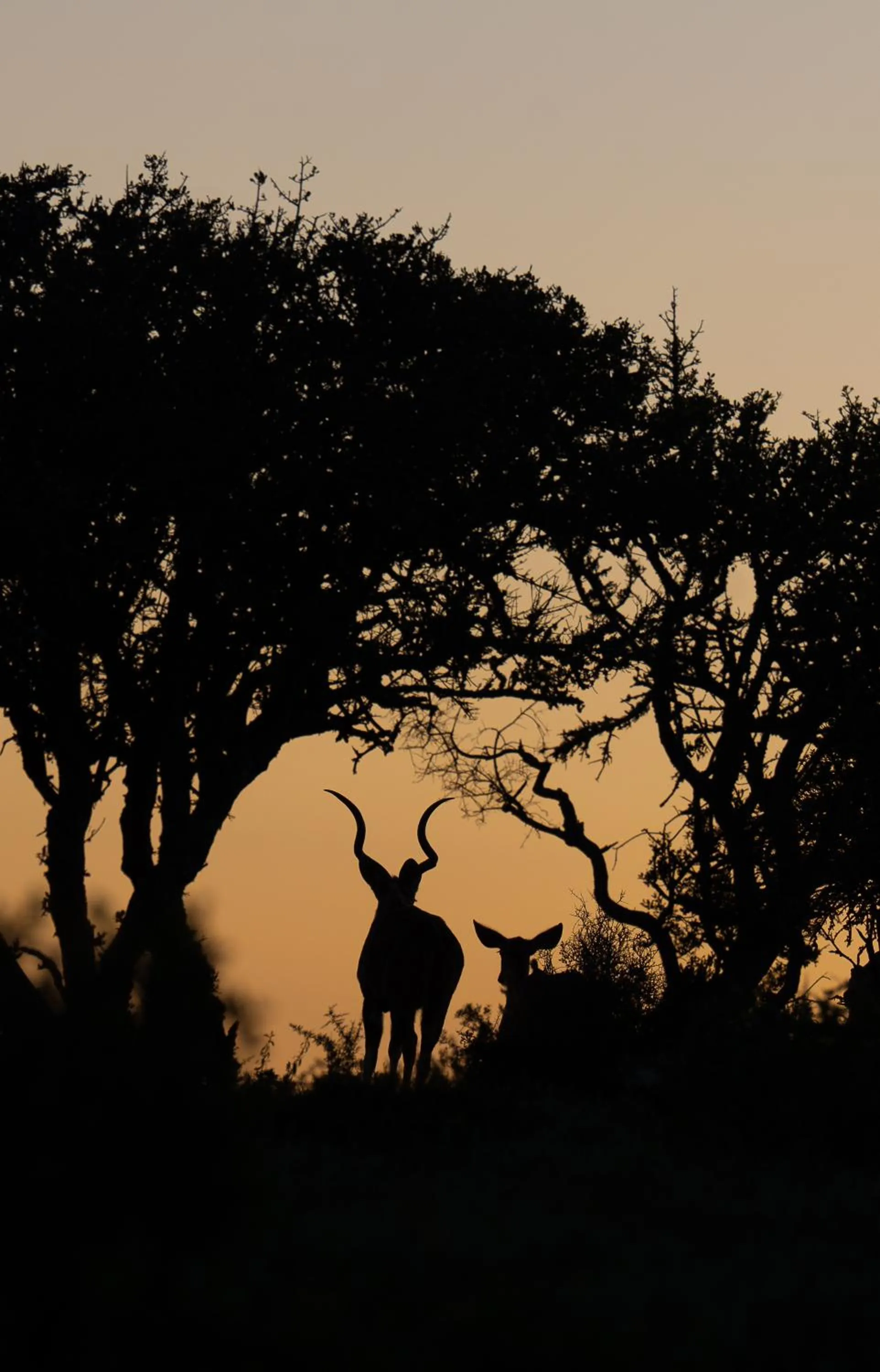 Natural landscape in Kuzuko Lodge
