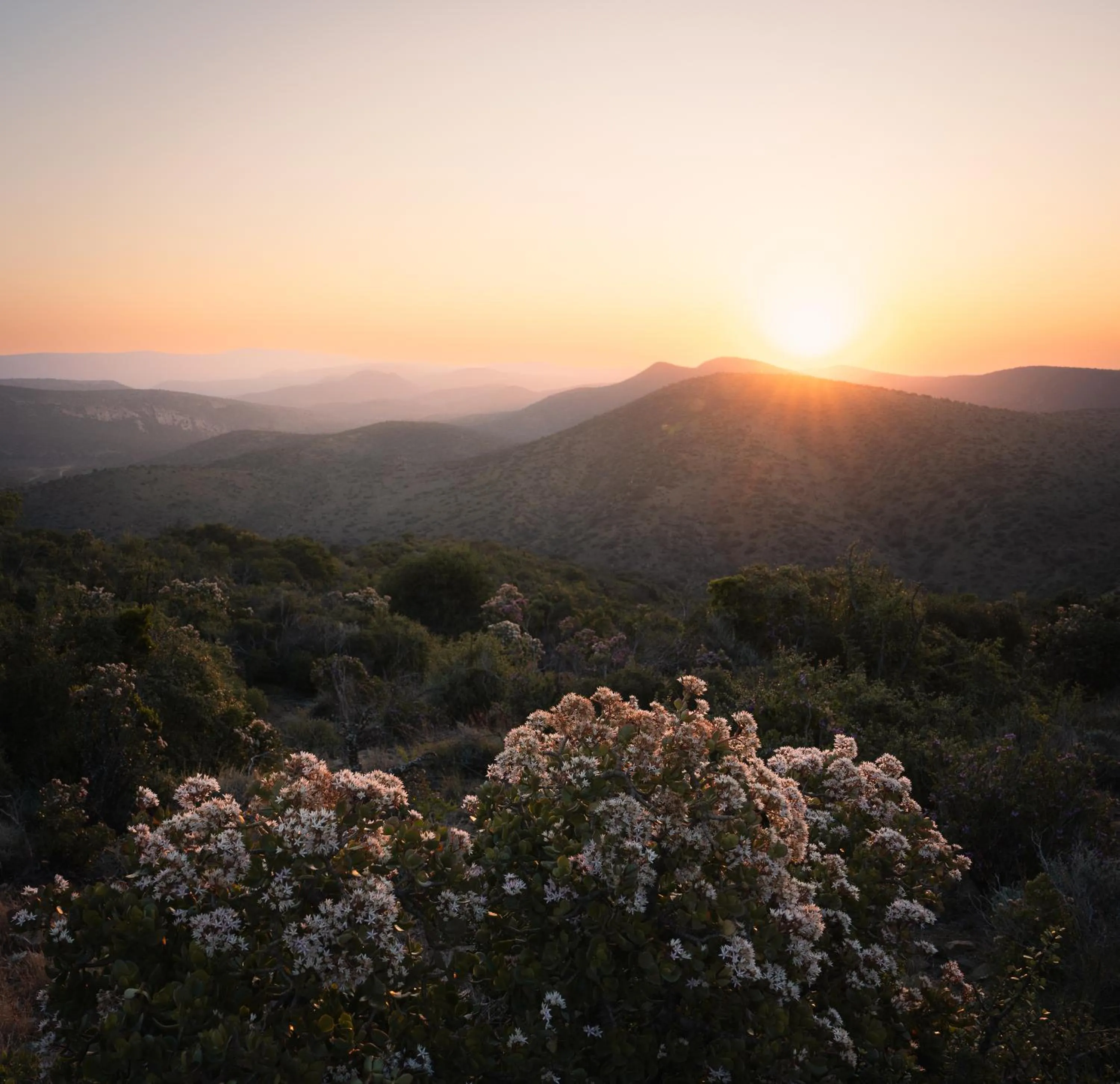 Natural landscape in Kuzuko Lodge