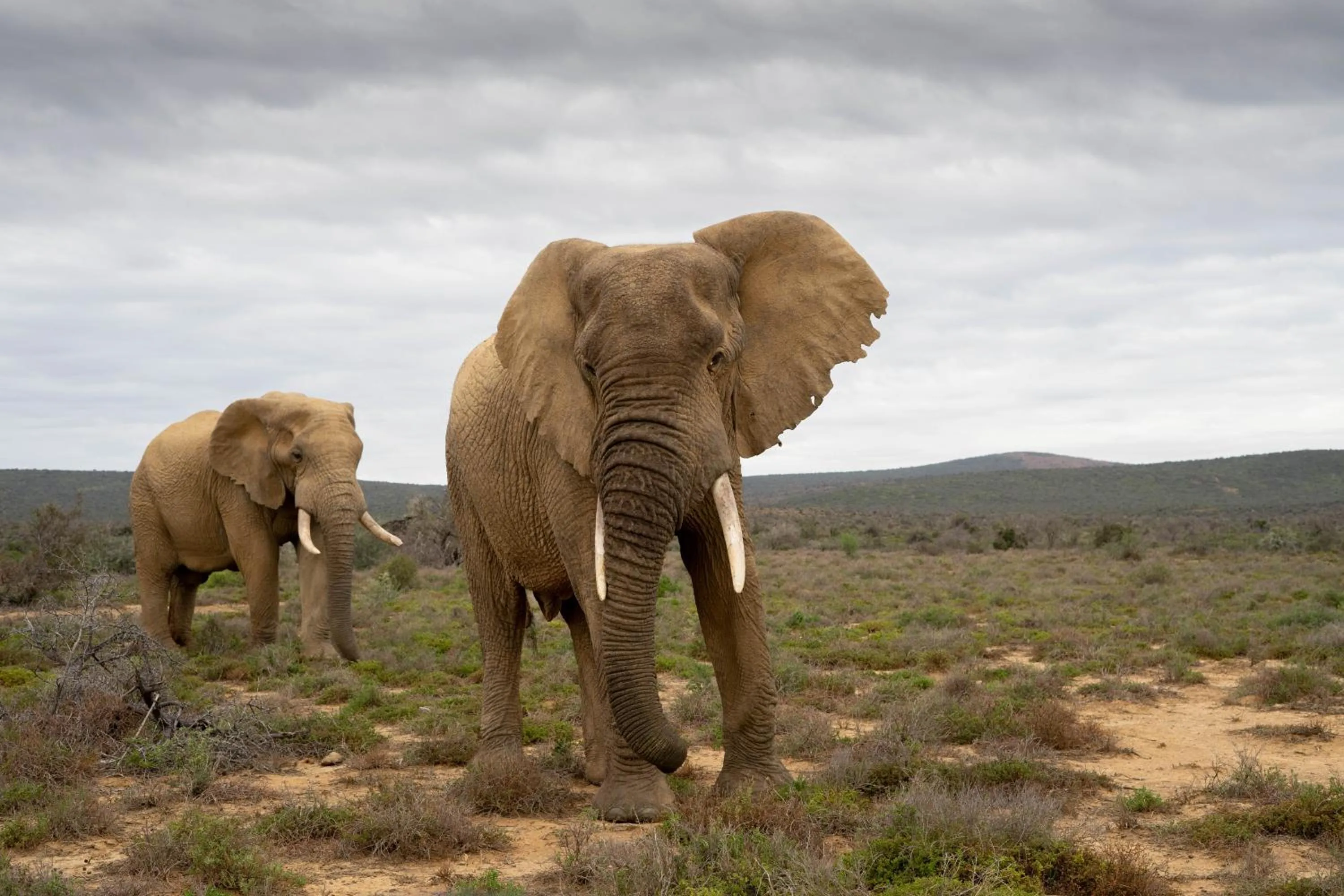 Natural landscape in Kuzuko Lodge
