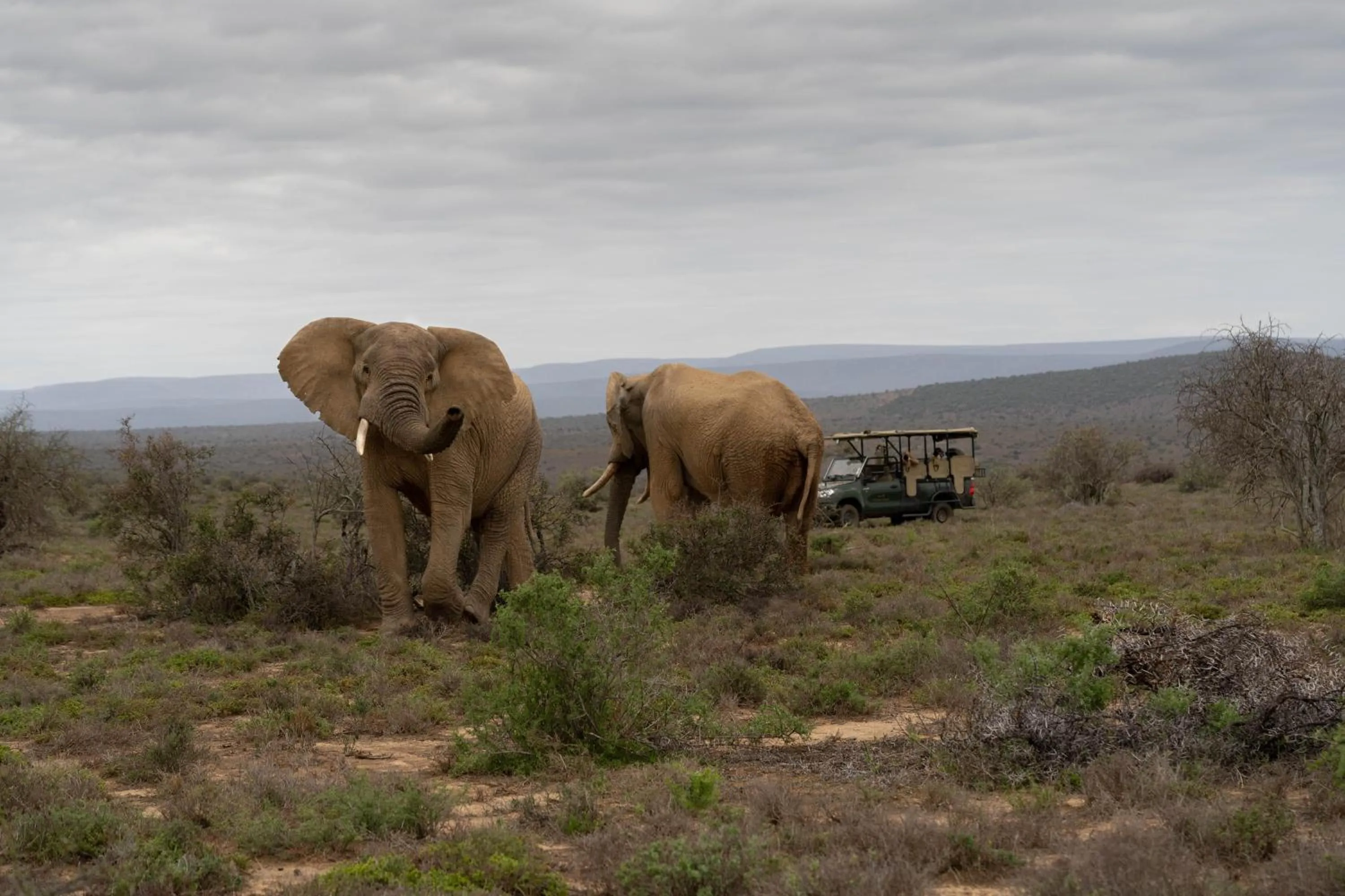 Natural landscape in Kuzuko Lodge