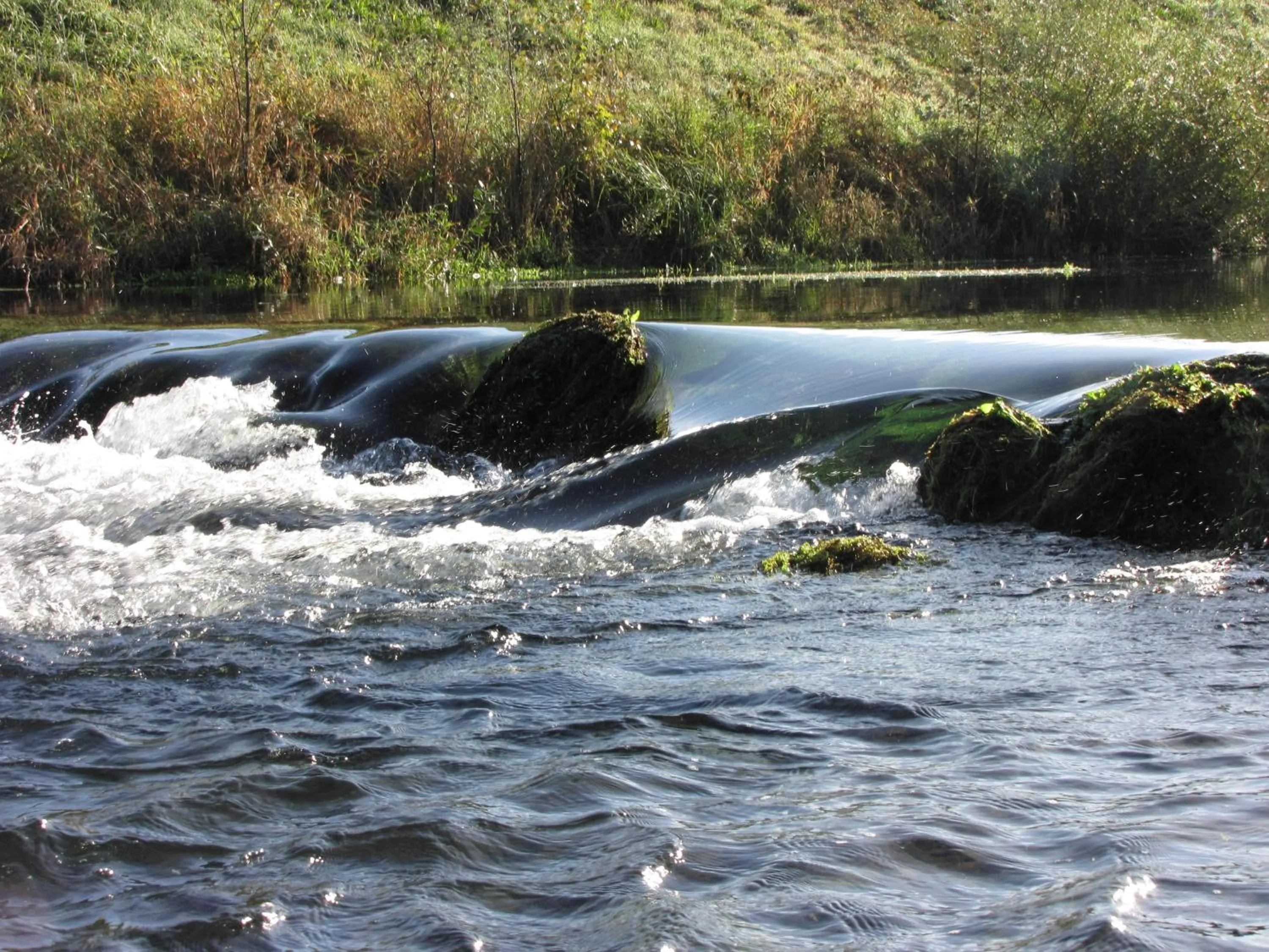 Garden in Hotel Le Caballin