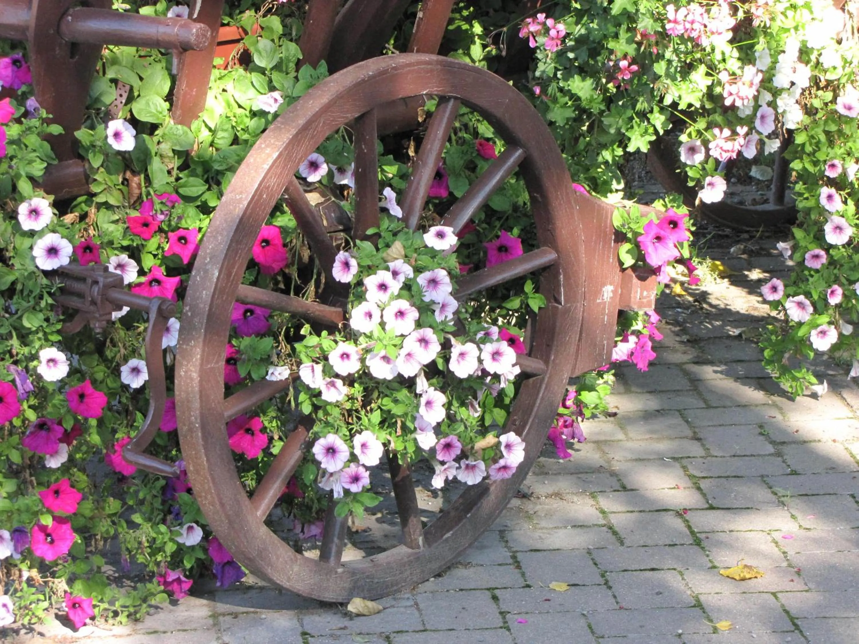 Garden in Hotel Le Caballin