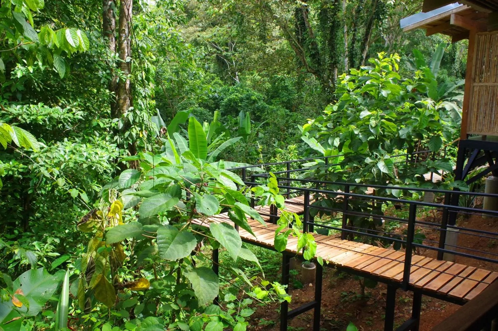 Garden in La Shamana - Ecological Concept in Jungle