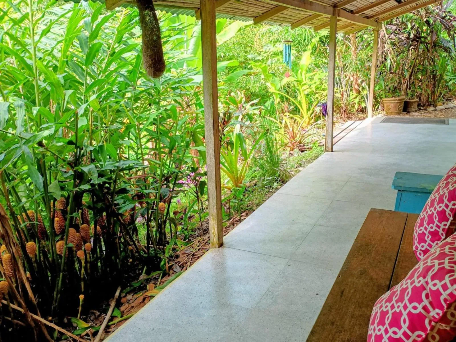 Garden in La Shamana - Ecological Concept in Jungle