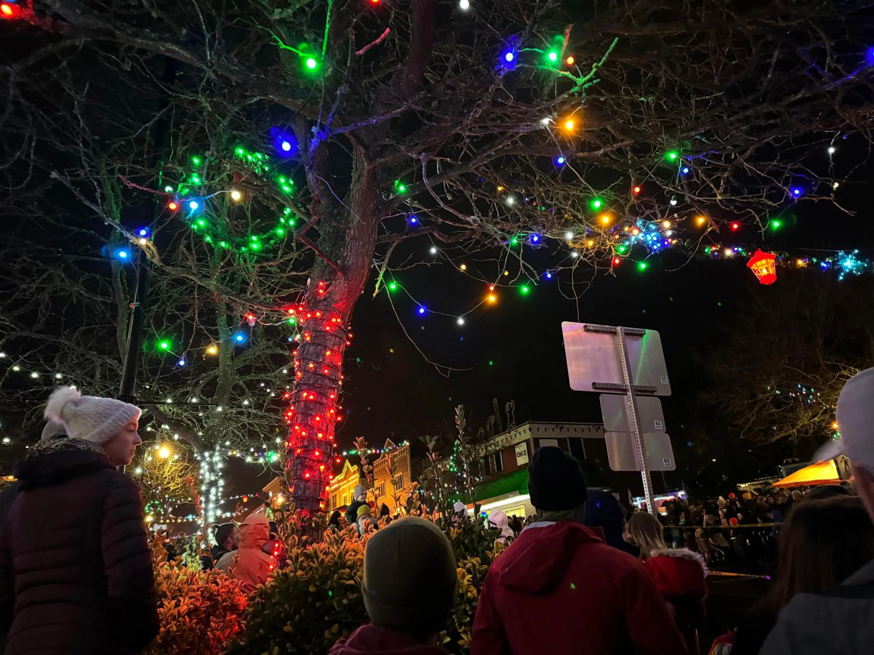 City view in Holiday House Motel